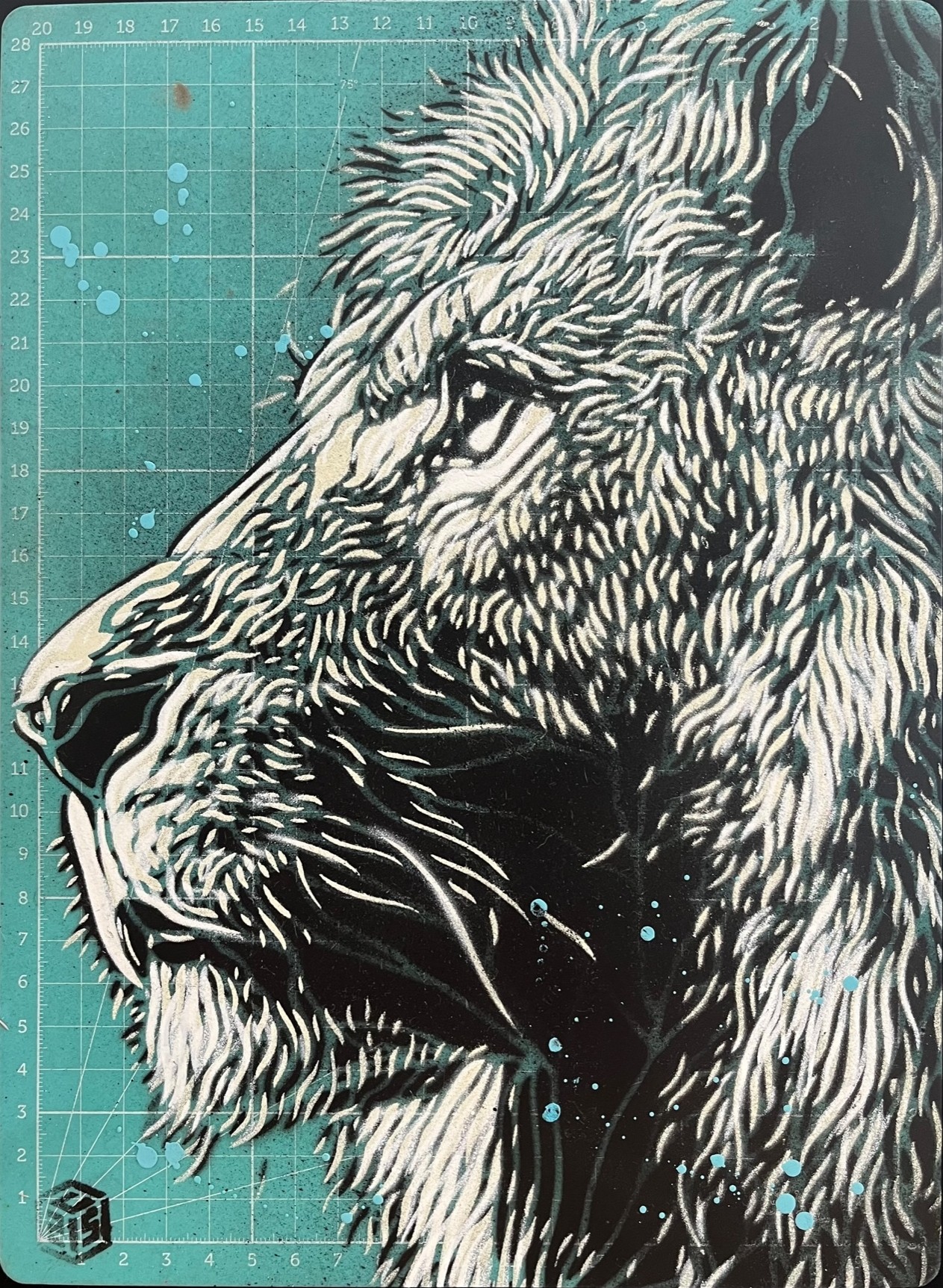 C215, Lion King C215, Lion King