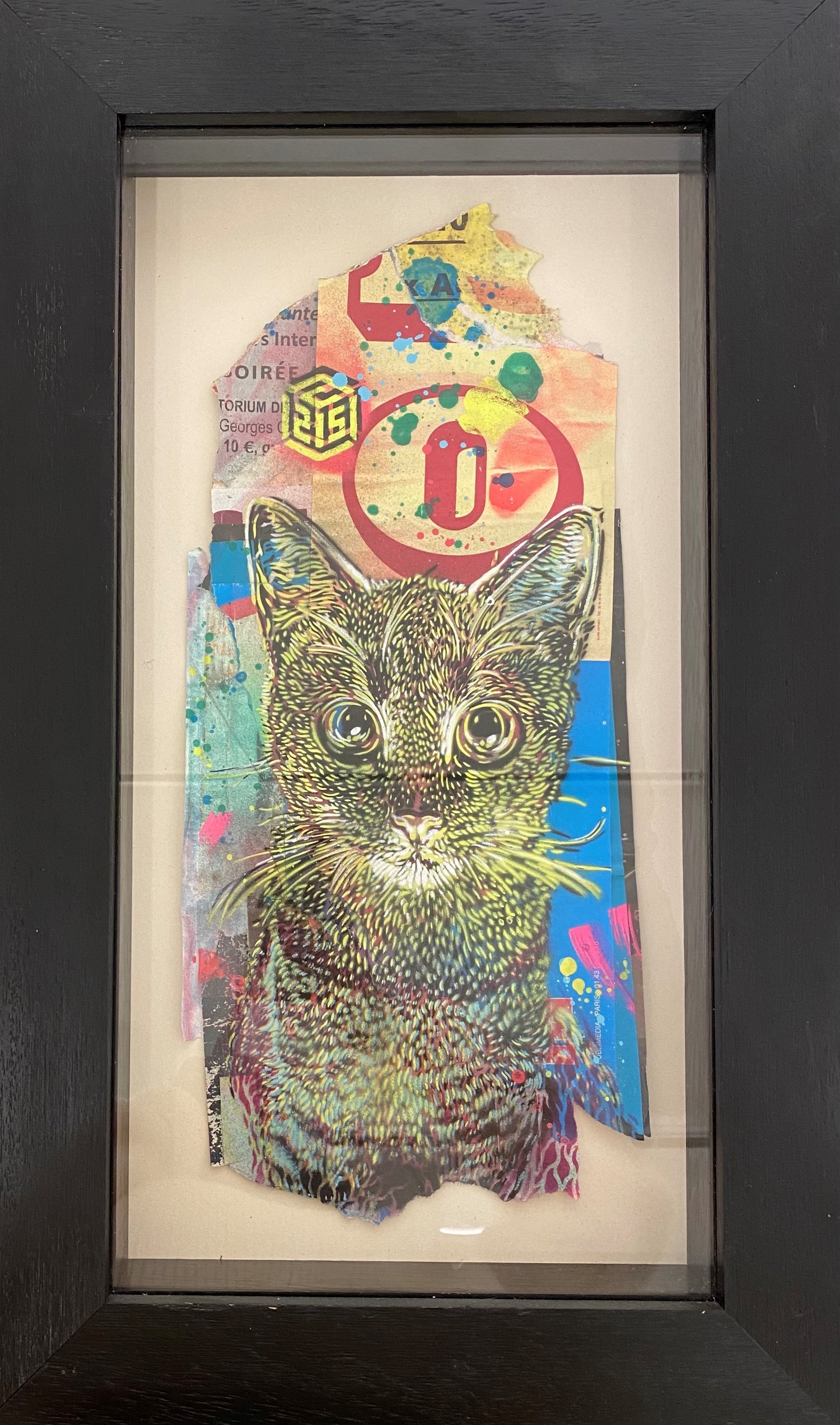 C215, Chat sur affiche C215, Chat sur affiche