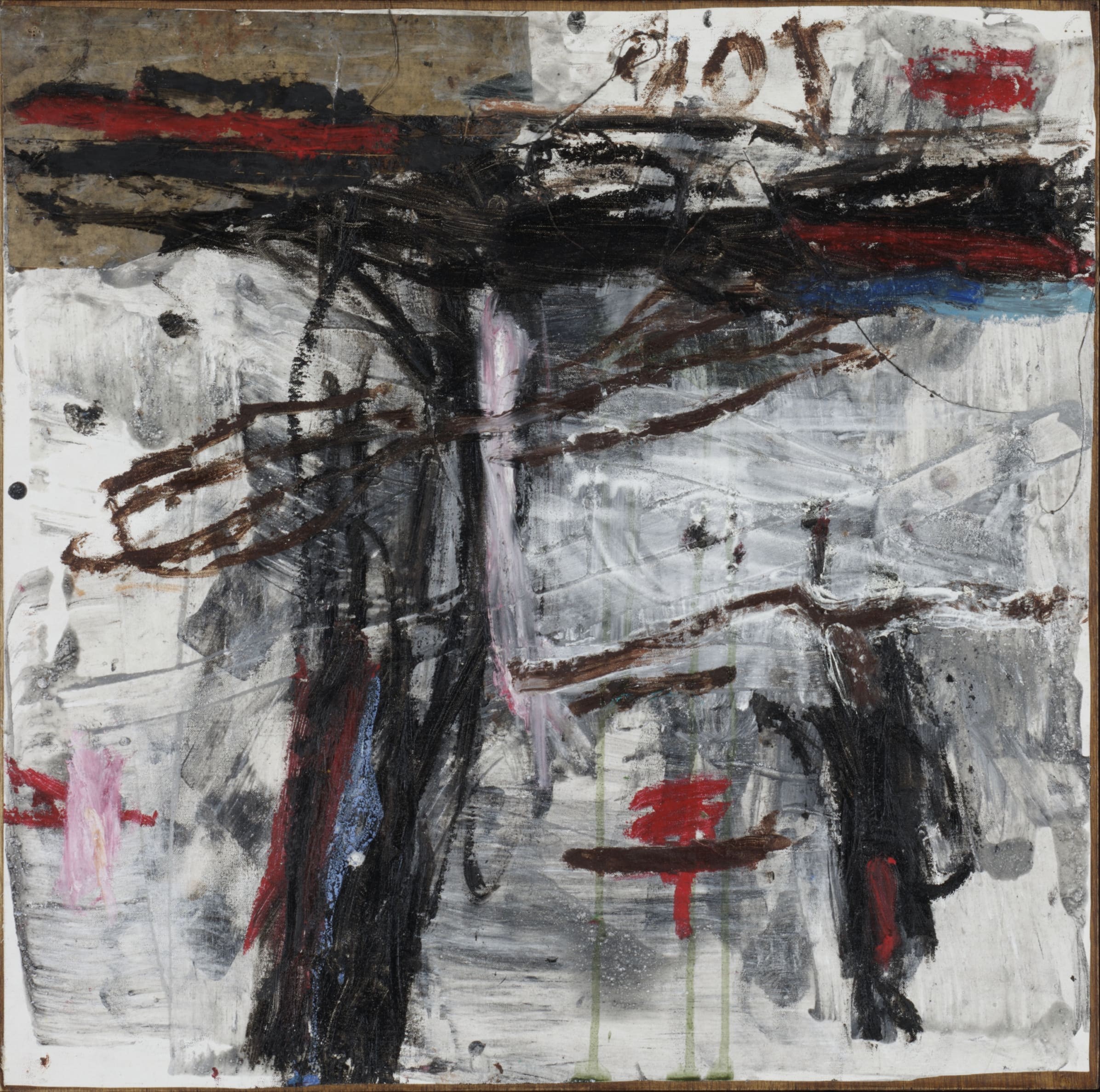 Ann Thomson, Aspect V Ann Thomson, Aspect V