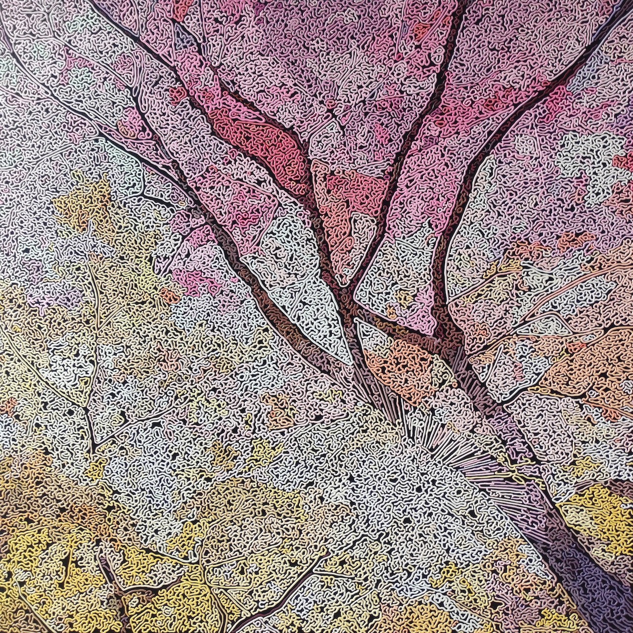 Diana Torje, Colors Diana Torje, Colors