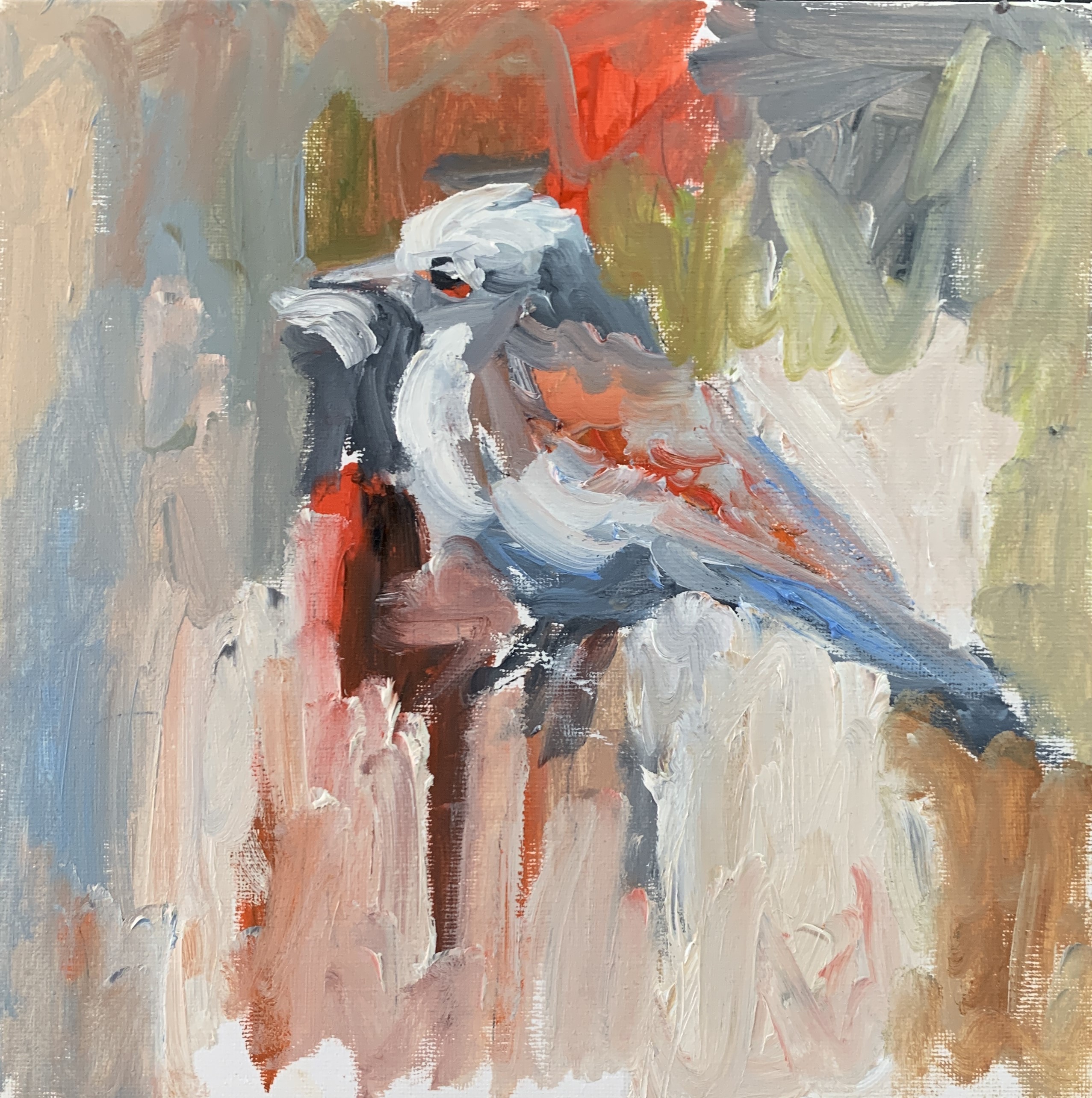 Schagen Vita, Bird 7 Schagen Vita, Bird 7