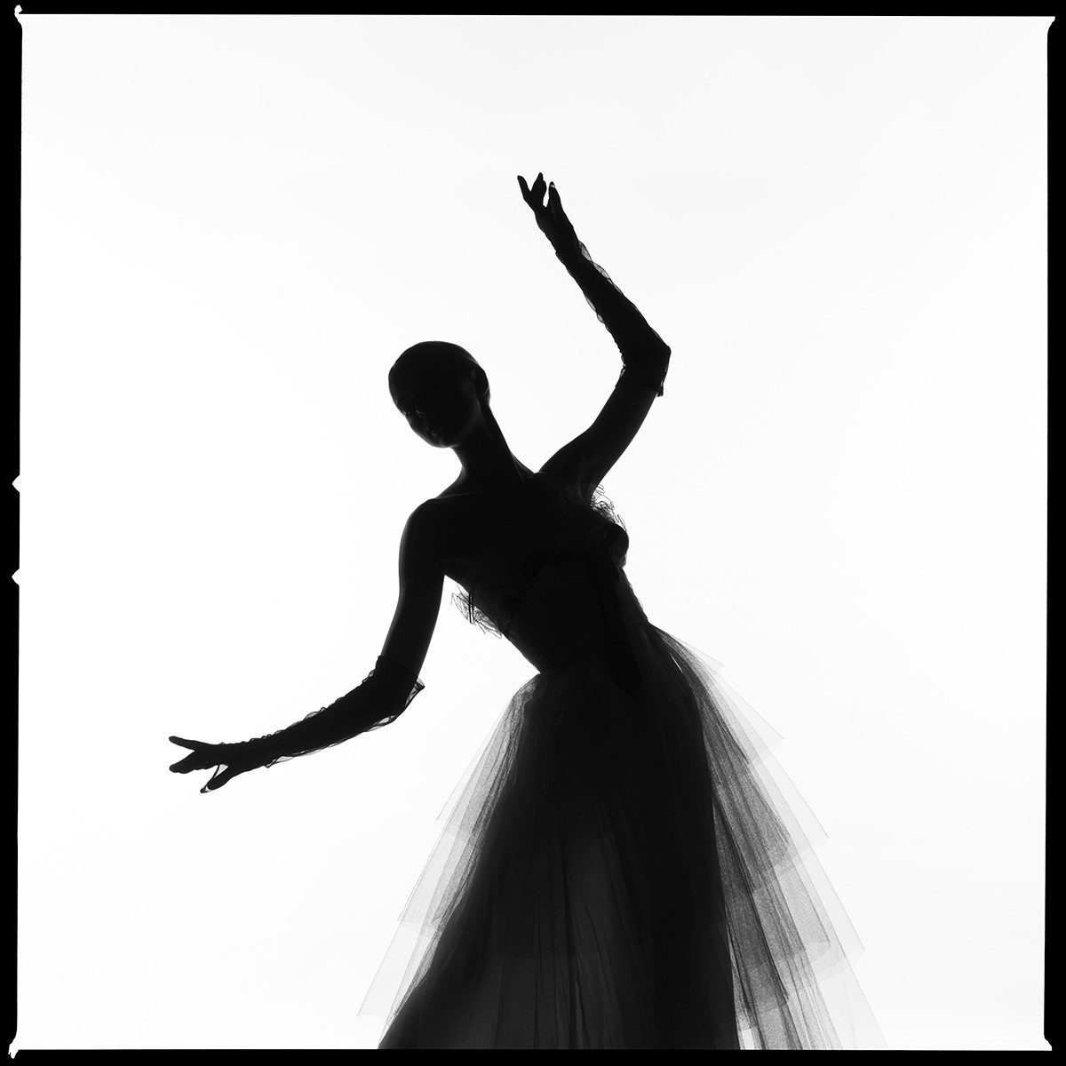 Tyler Shields, Dress Silhouette Tyler Shields, Dress Silhouette