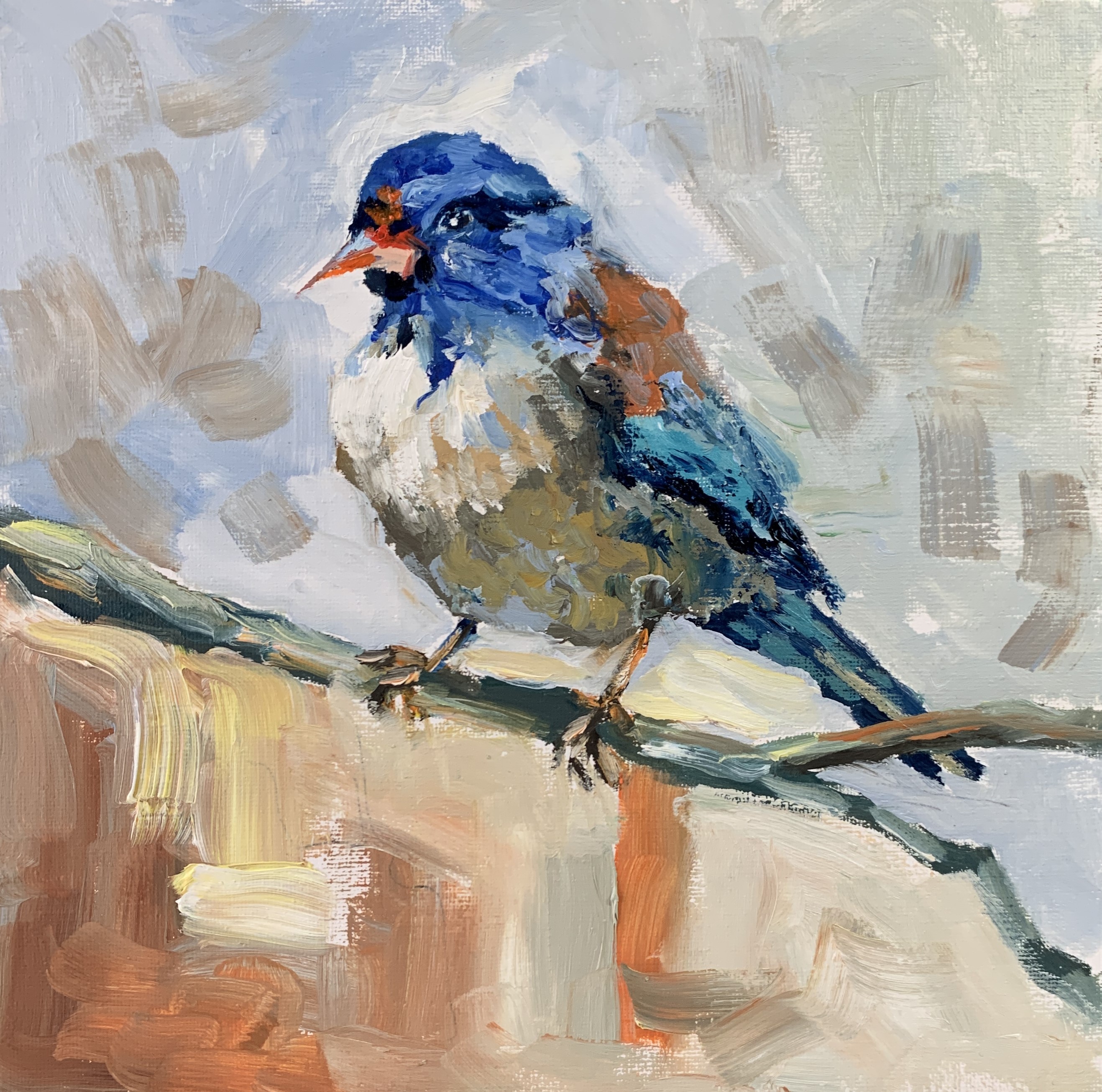 Schagen Vita, Bird 8 Schagen Vita, Bird 8