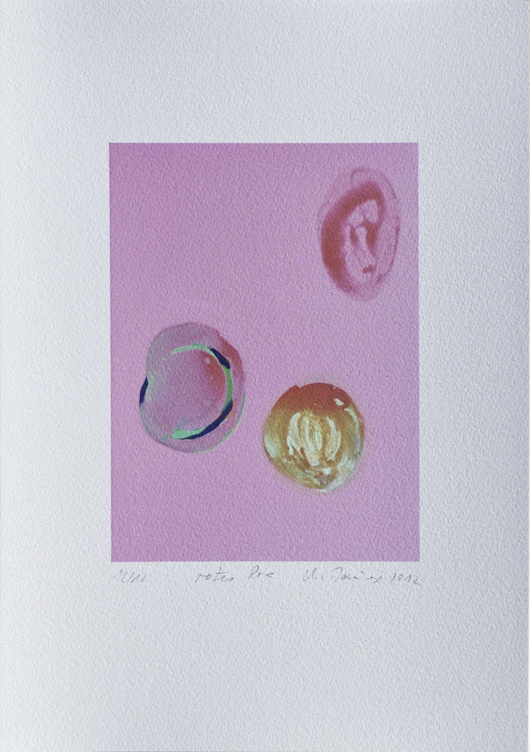 Michael Bause, Rotes Rosa Michael Bause, Rotes Rosa