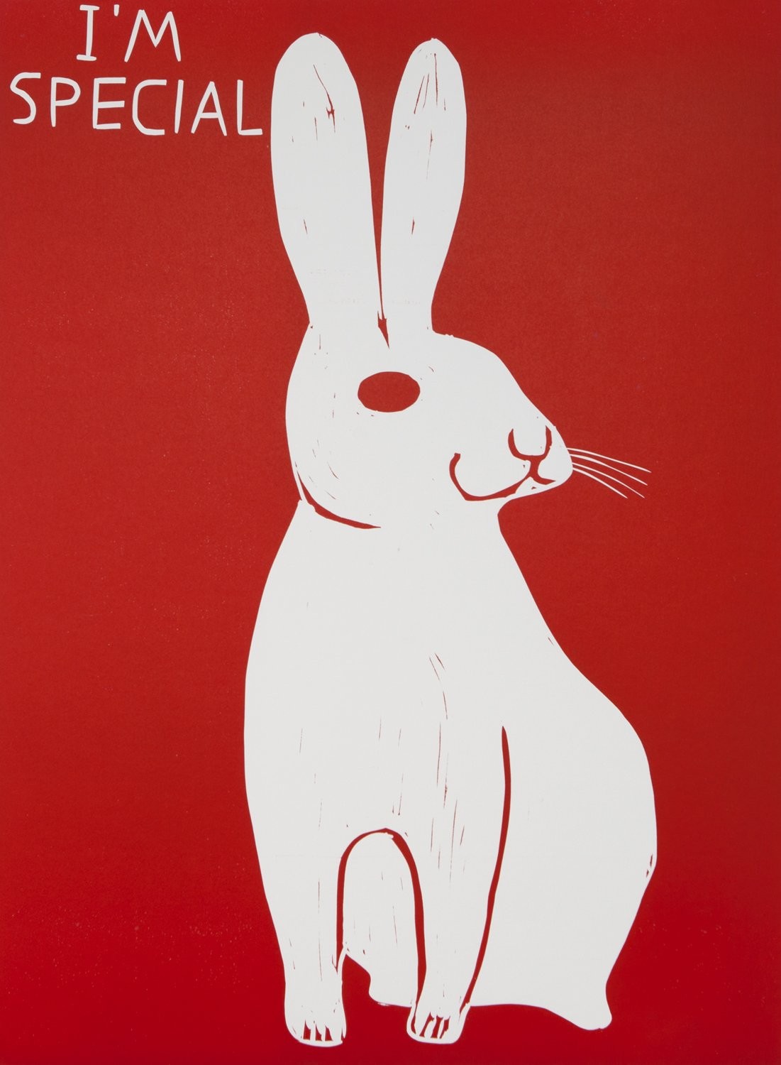 David Shrigley, I'm Special David Shrigley, I'm Special