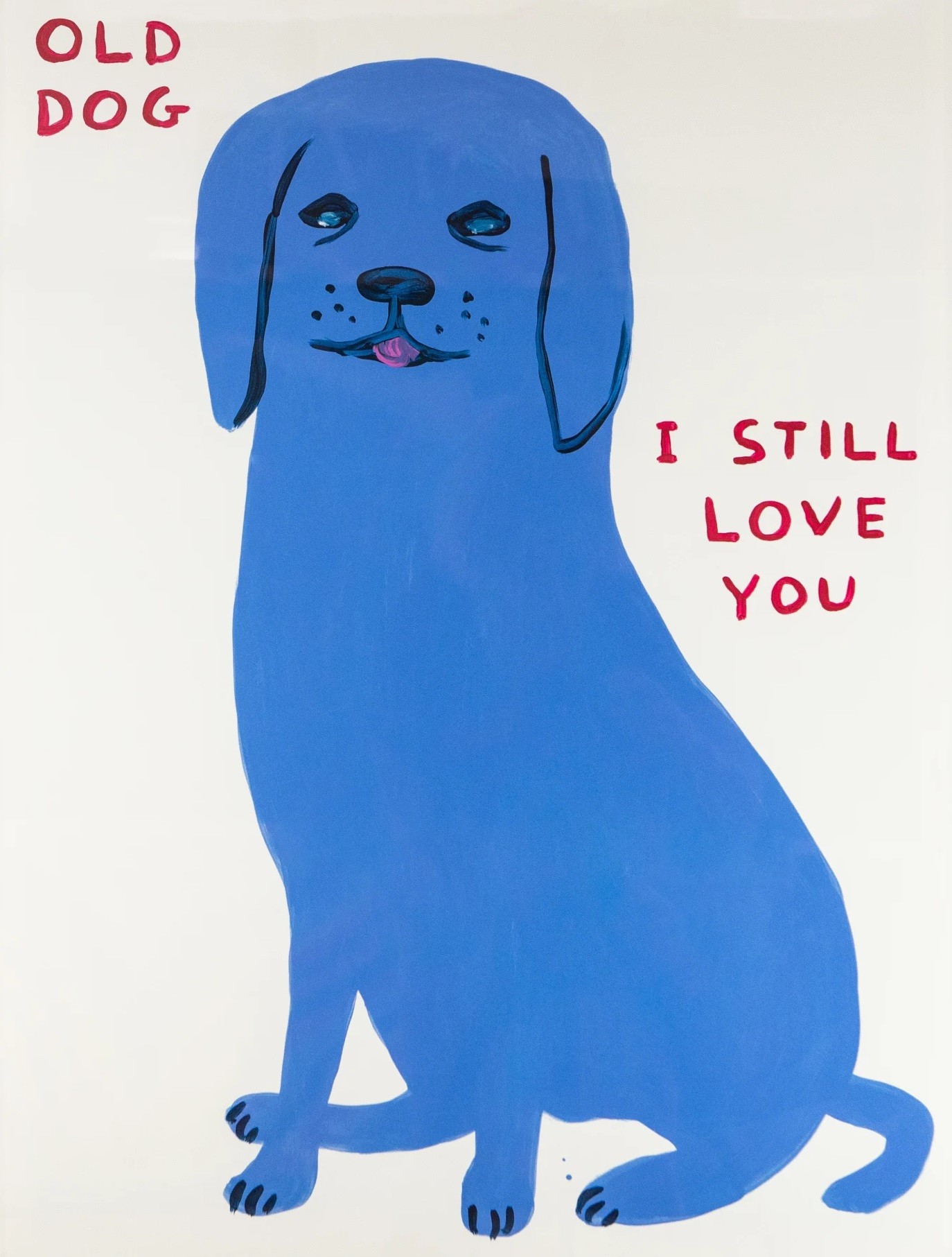 David Shrigley, Old Dog... David Shrigley, Old Dog...