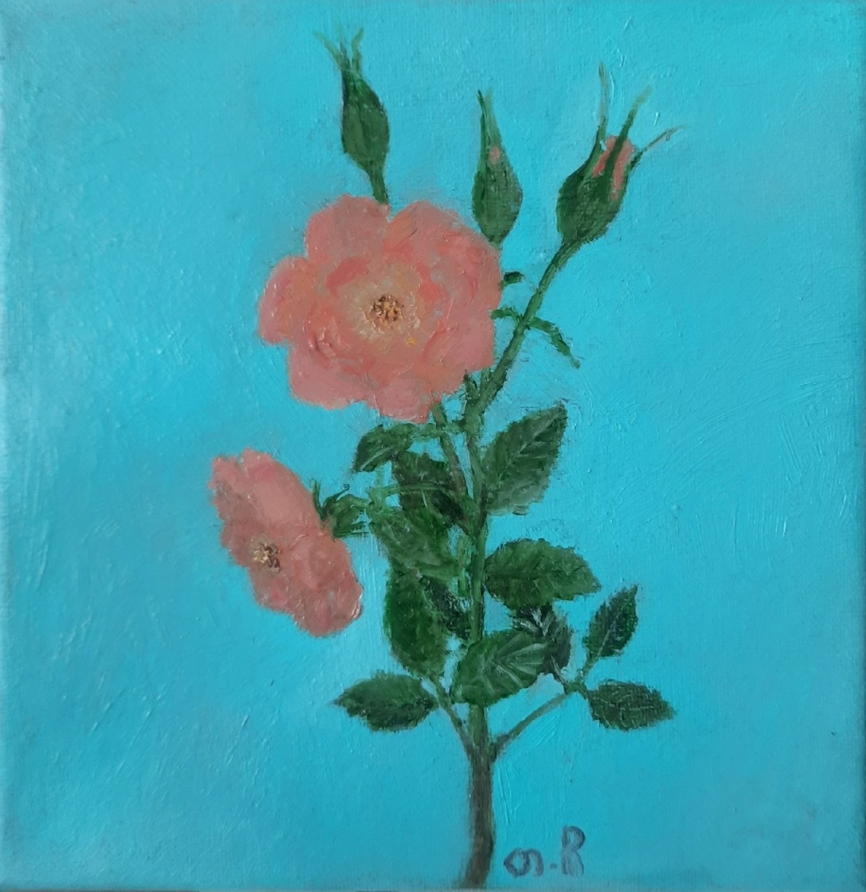Tinatin Chkhikvishvili, Rose Tinatin Chkhikvishvili, Rose