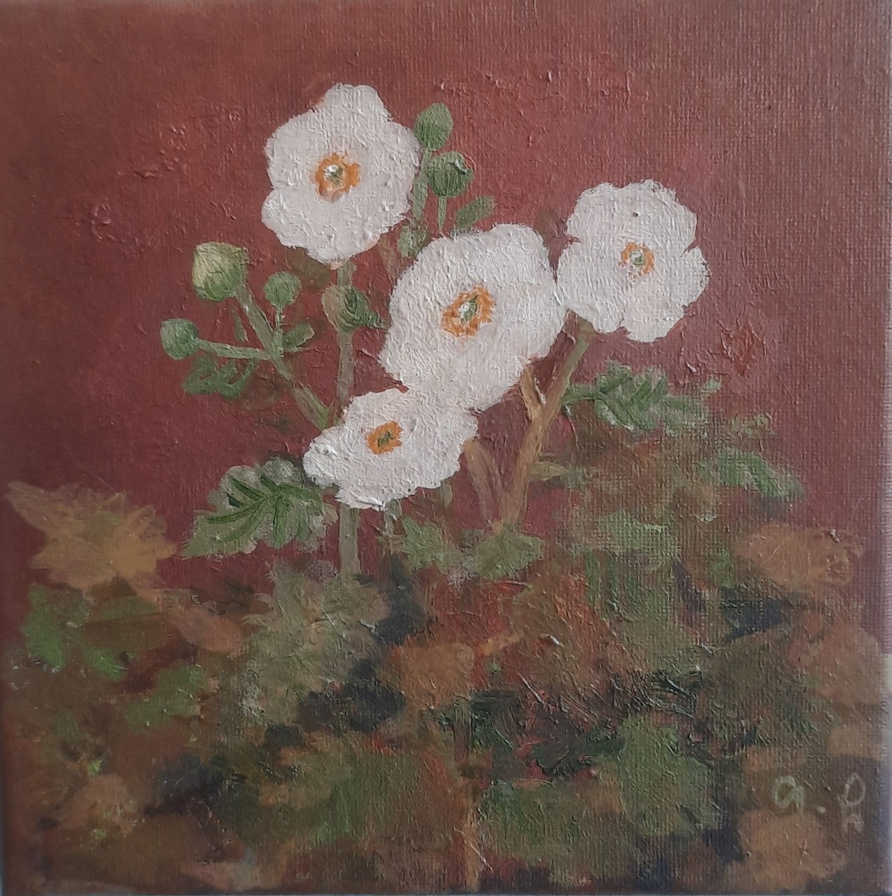 Tinatin Chkhikvishvili, White Flowers Tinatin Chkhikvishvili, White Flowers