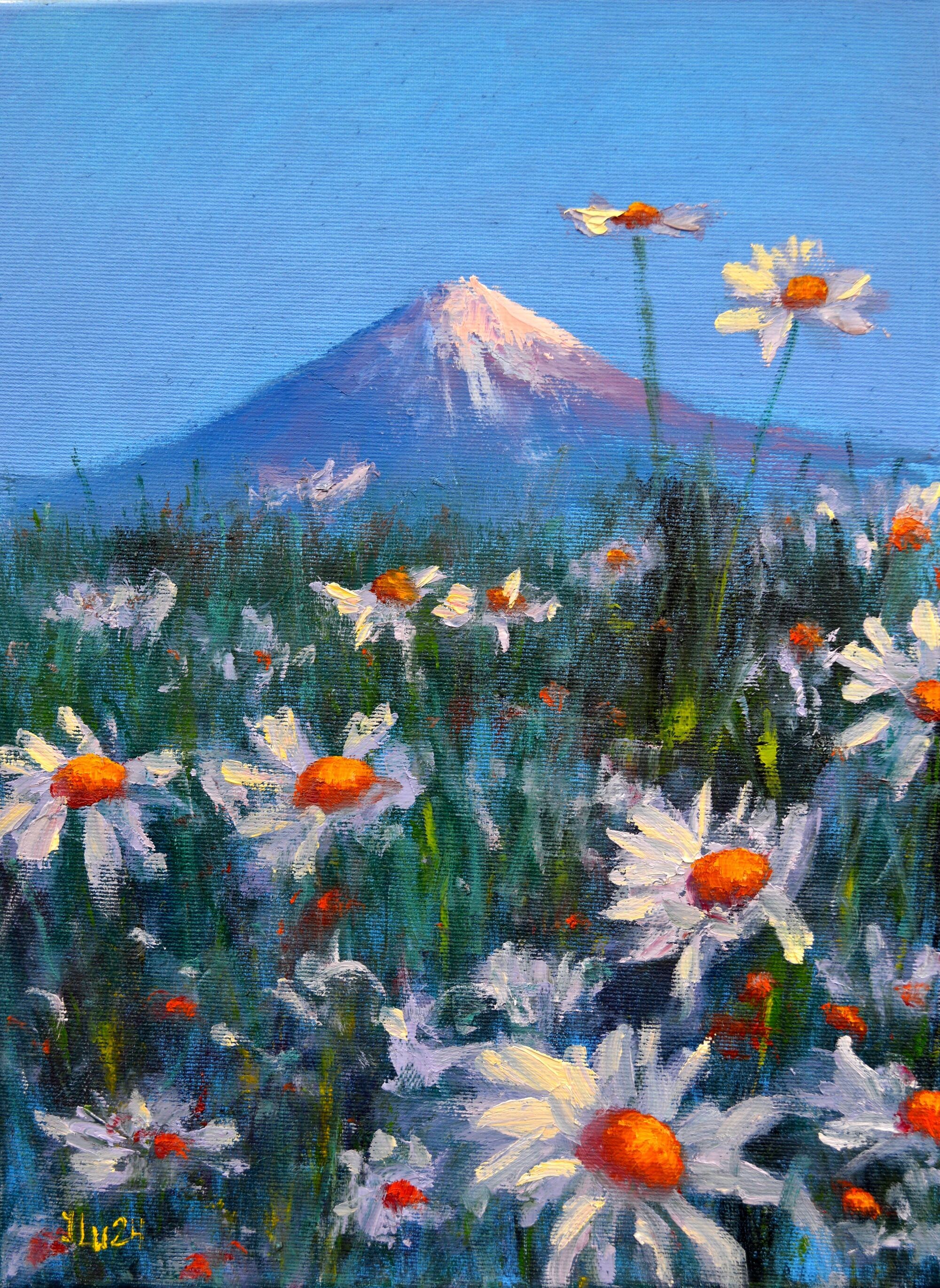 Elena Lukina, Japanese meadow daisies Elena Lukina, Japanese meadow daisies