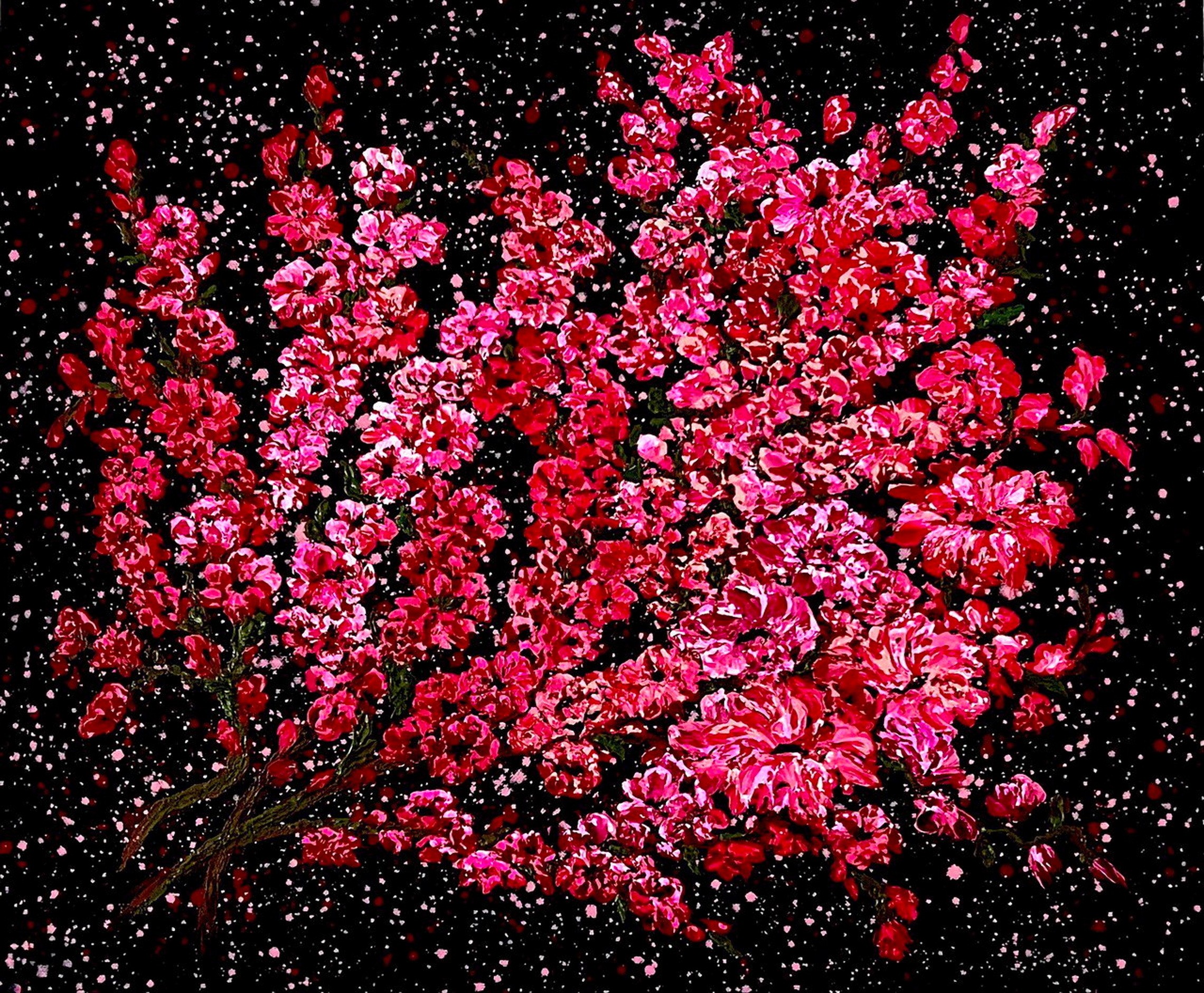 Vik Schroeder, Melody of awakening Vik Schroeder, Melody of awakening