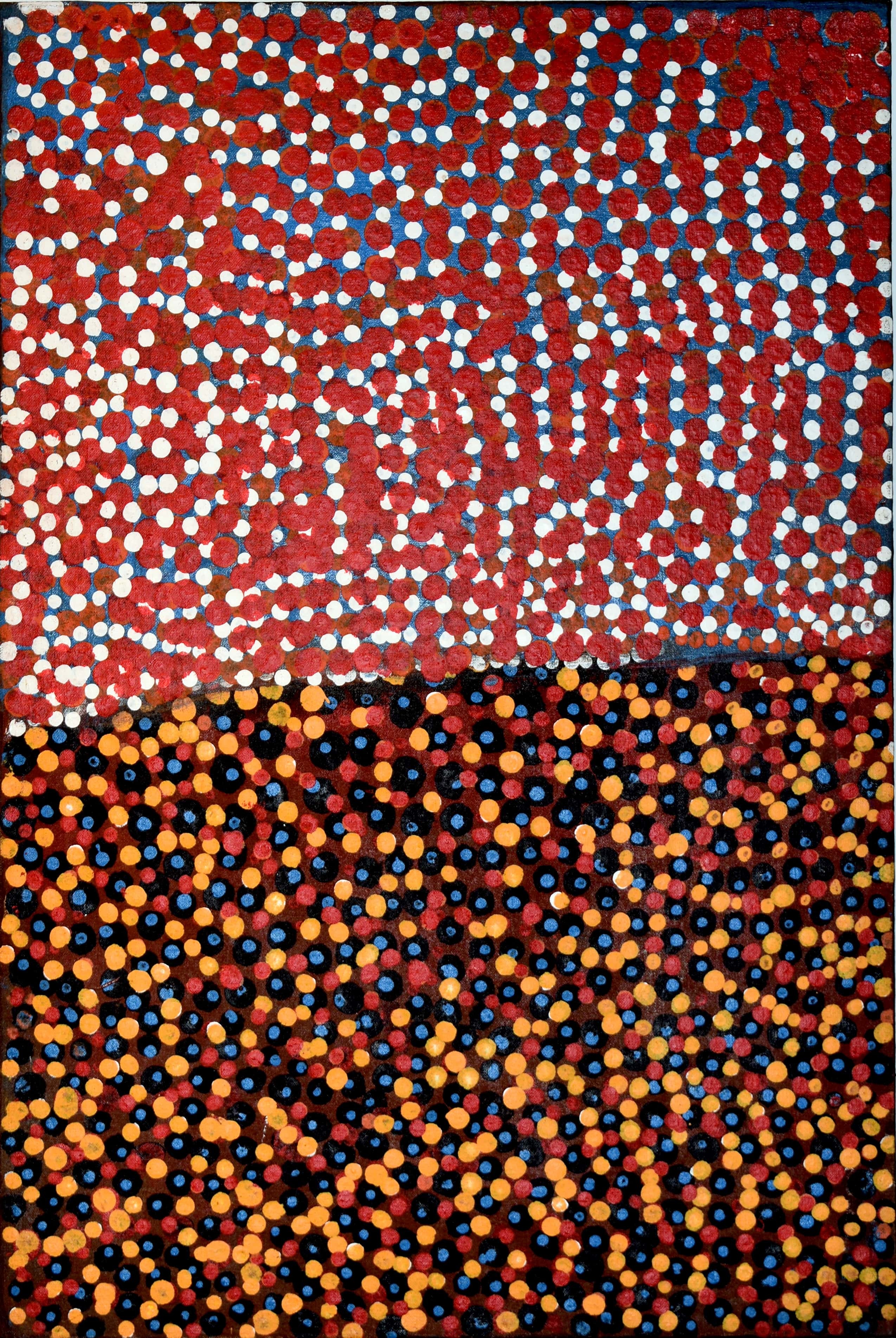 Susie Bootja Bootja, Kuningurra Susie Bootja Bootja, Kuningurra