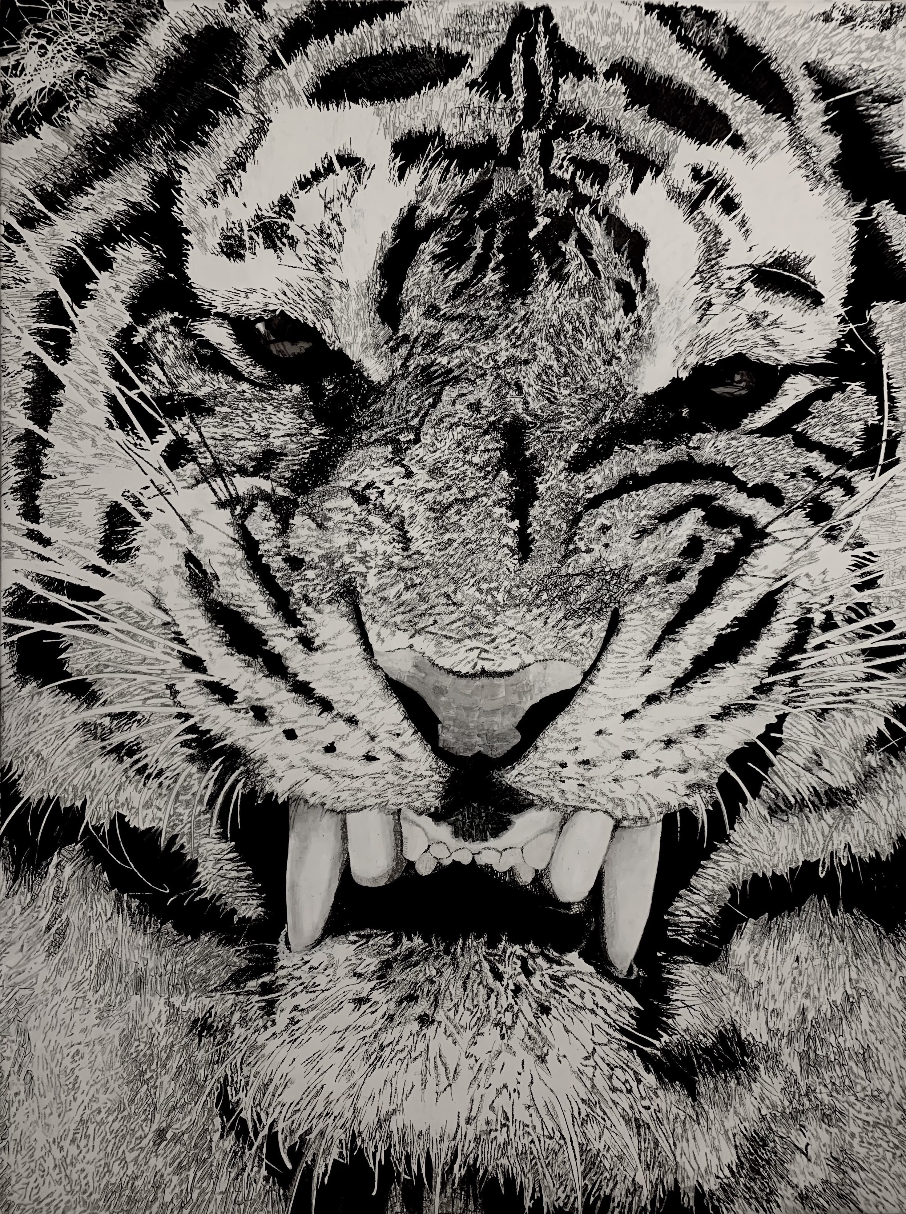Stras Bear, Tiger, Tiger, Tiger... Stras Bear, Tiger, Tiger, Tiger...