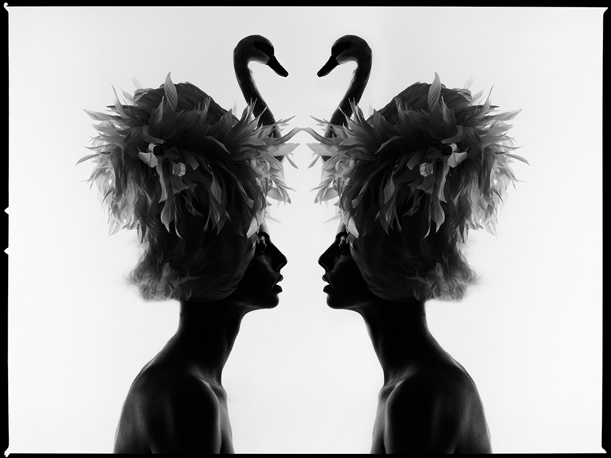 Tyler Shields, Two Swans (XS) (2) Tyler Shields, Two Swans (XS) (2)
