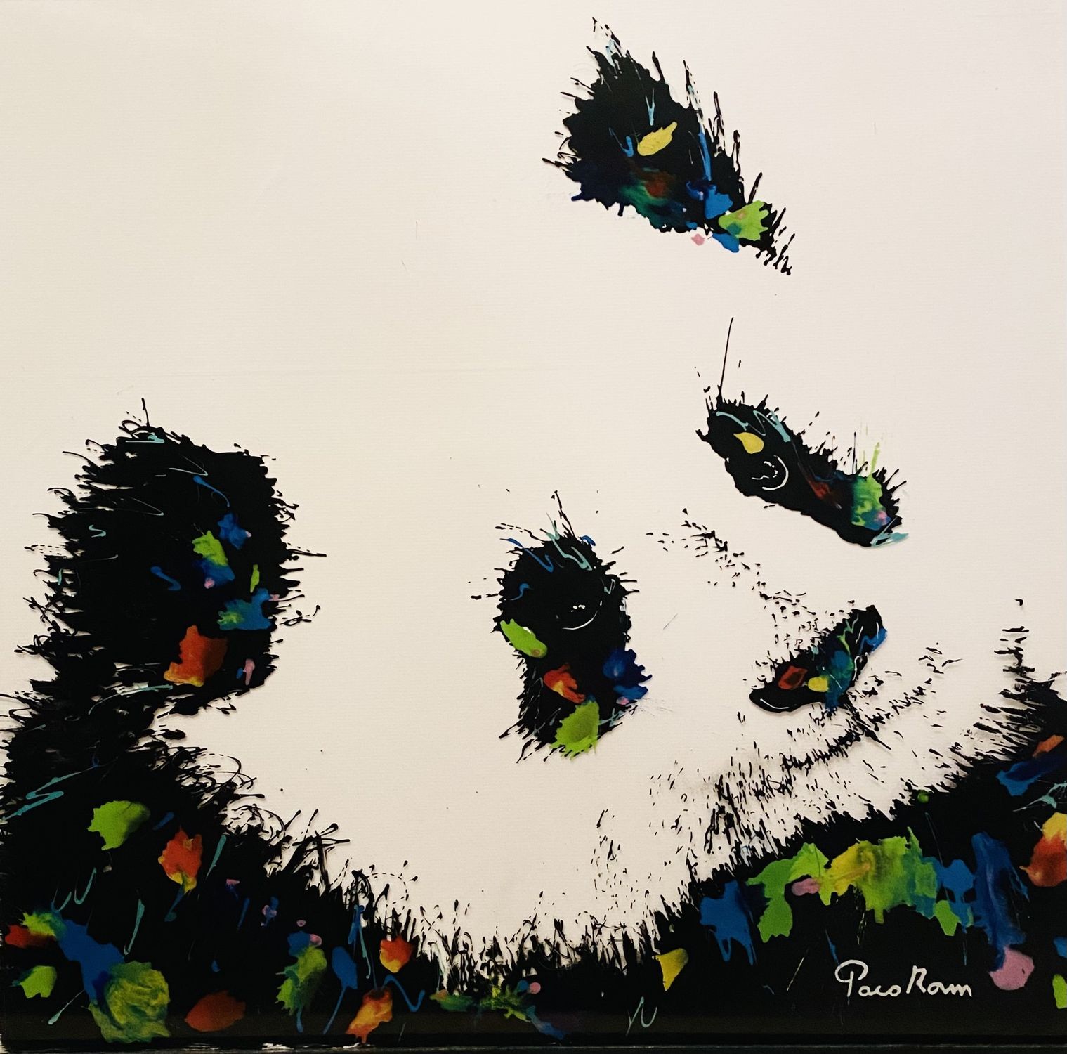 Paco Roum, Pandy Dream Paco Roum, Pandy Dream