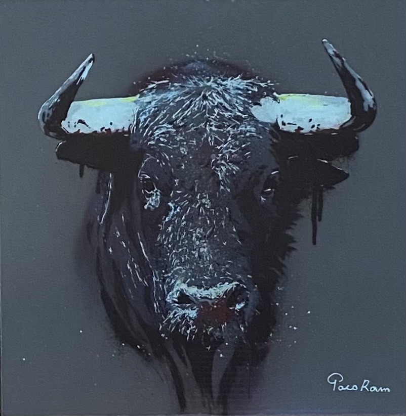 Paco Roum, Quiet Taurus Paco Roum, Quiet Taurus
