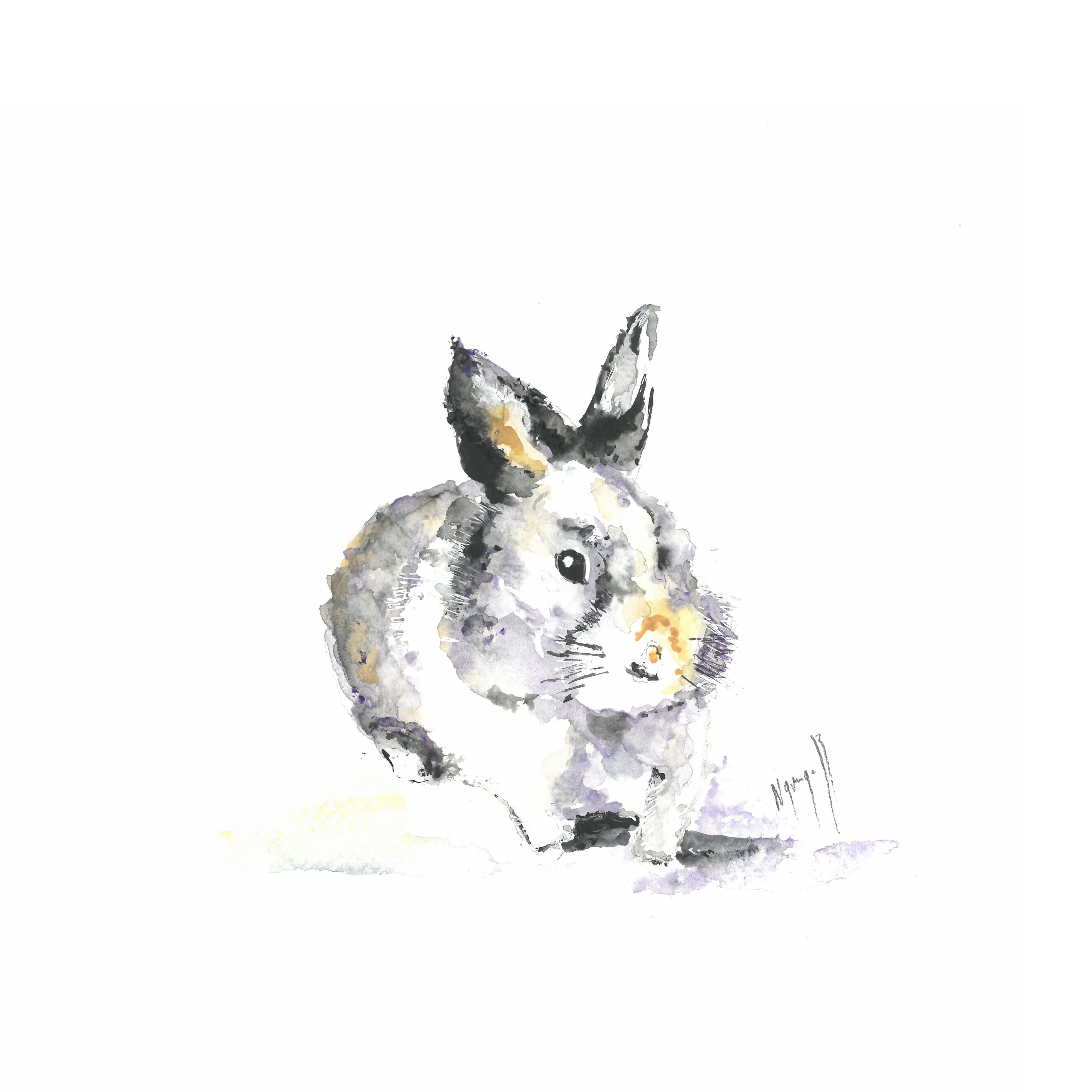Noël Granger, My lucky Rabbit ! Noël Granger, My lucky Rabbit !