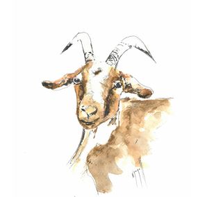 Fine Art Drawings, Mon adorable chèvre !, Noël Granger