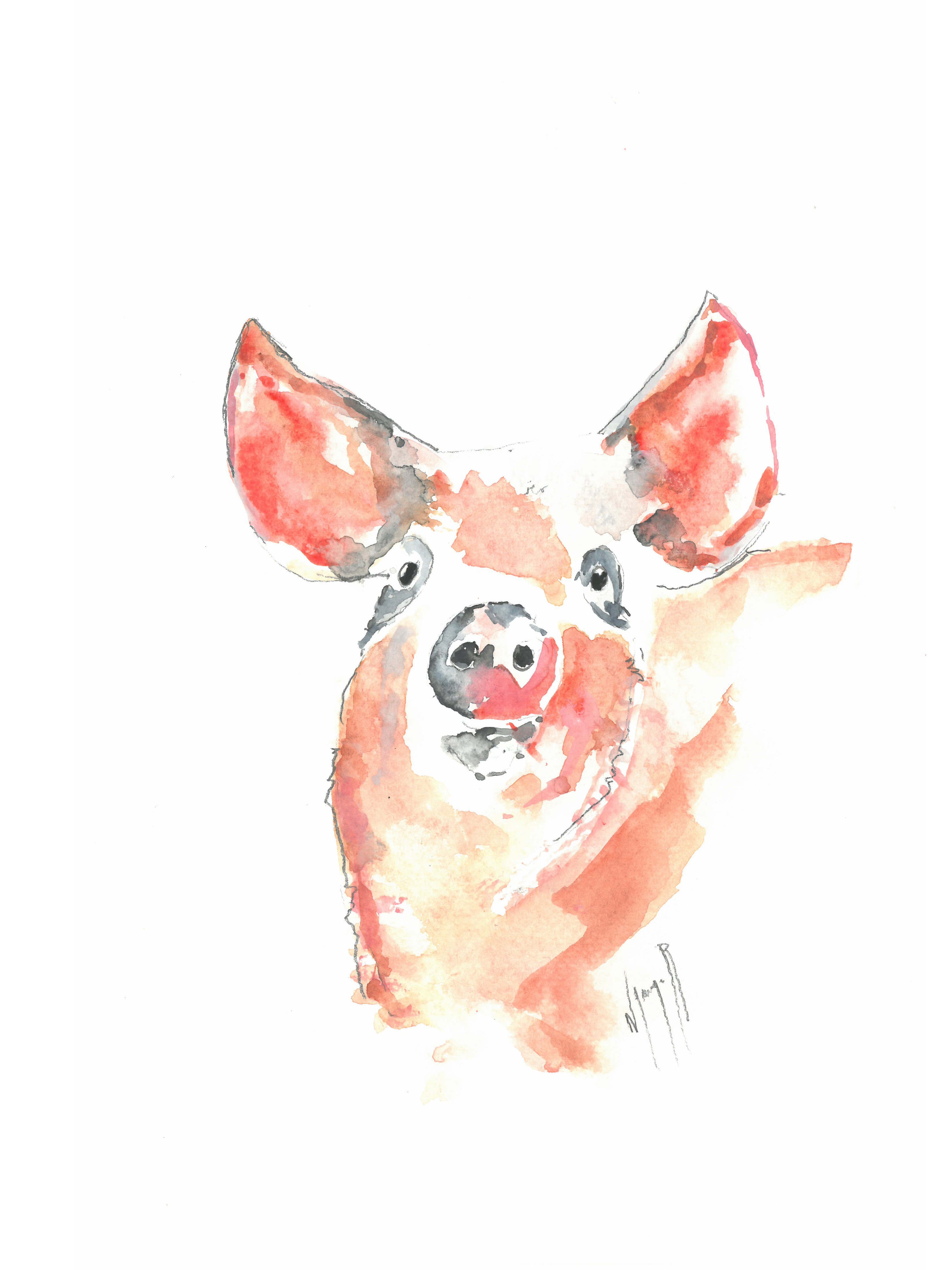 Noël Granger, My pink pig ! Noël Granger, My pink pig !