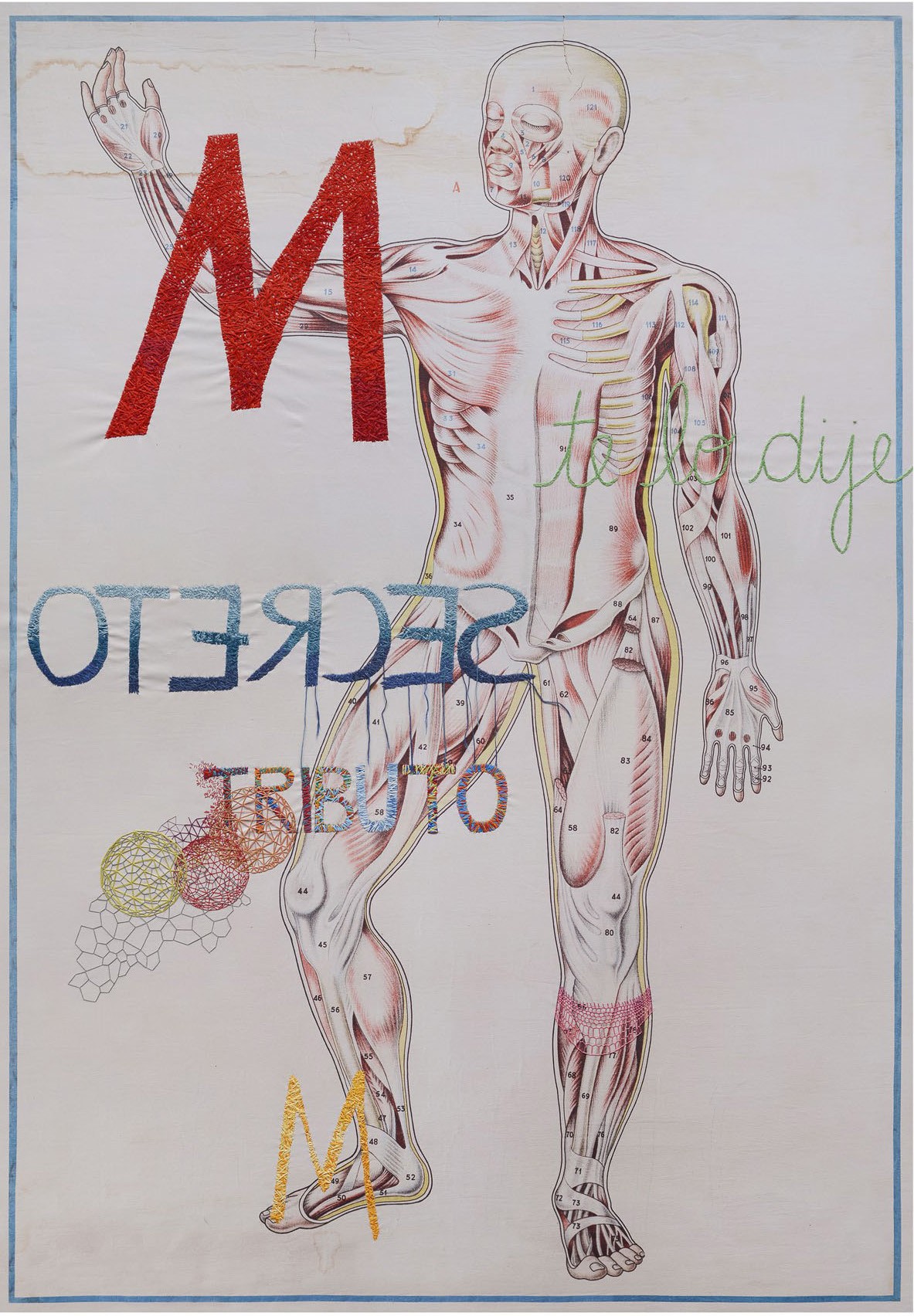 Ana Seggiaro, Cuerpo Humano. From the Anatomy series Ana Seggiaro, Cuerpo Humano. From the Anatomy series