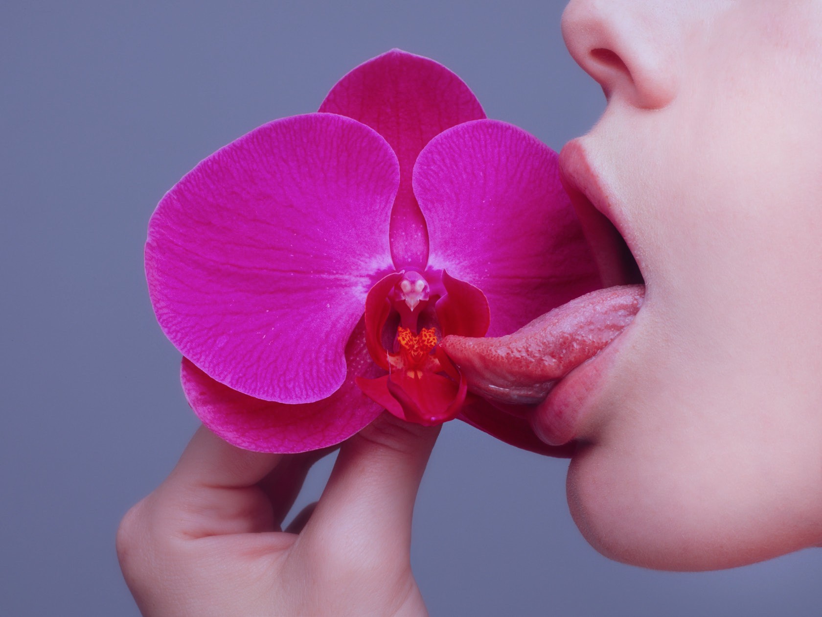 Tyler Shields, Orchid (S) Tyler Shields, Orchid (S)