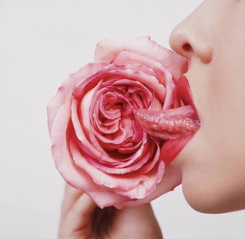Tyler Shields, Rose (XL) Tyler Shields, Rose (XL)