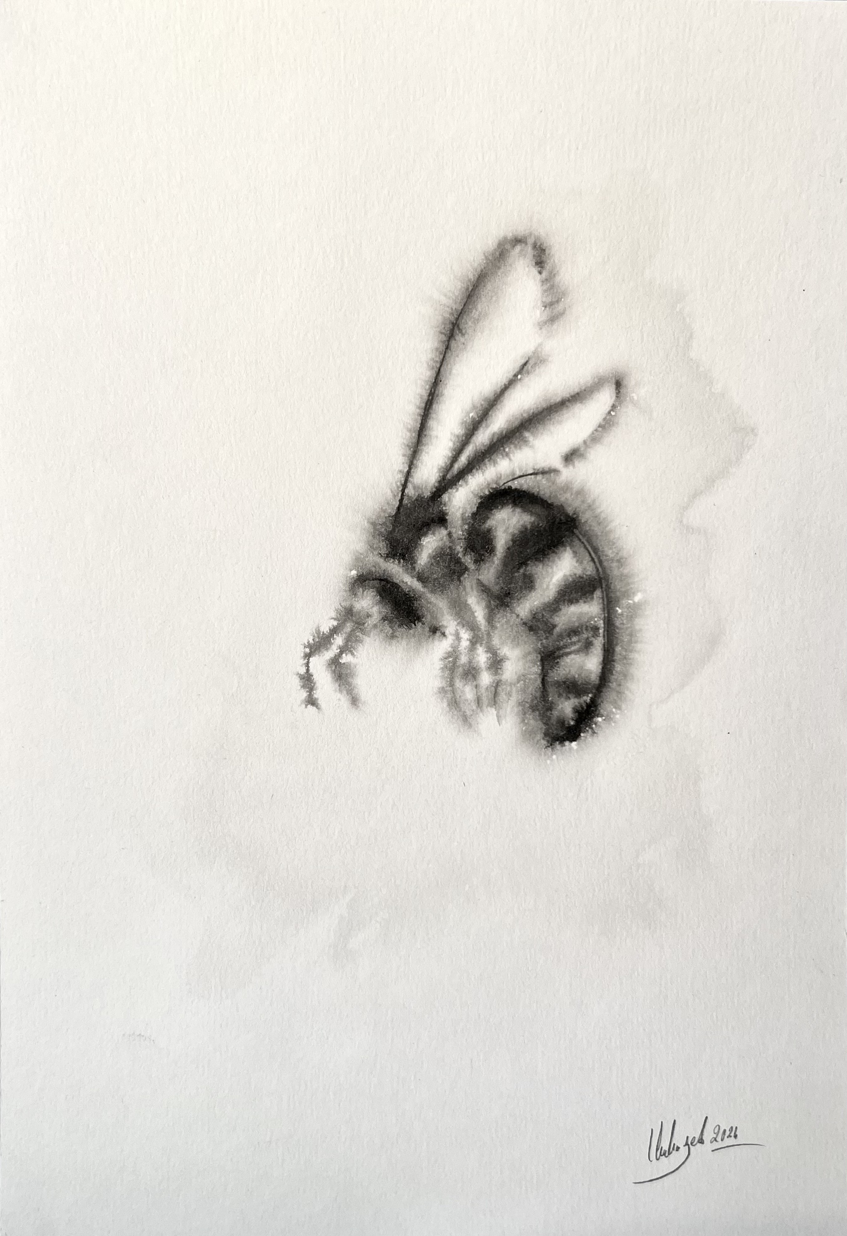 Chahrazed Fekih, Abeille I Chahrazed Fekih, Abeille I
