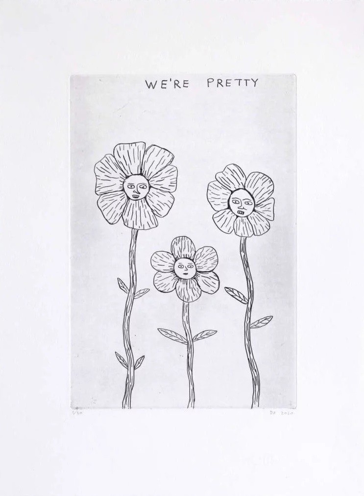 David Shrigley, We're Pretty David Shrigley, We're Pretty