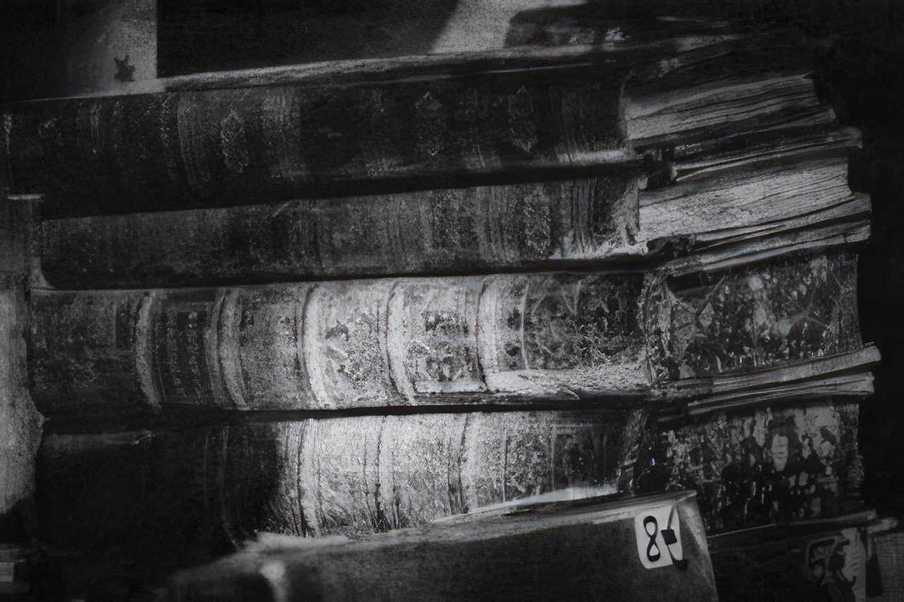 Irène Jonas, Bibliophilie, 2019-2022 Irène Jonas, Bibliophilie, 2019-2022
