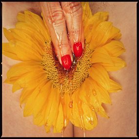 Photography, Sunflower (S), Tyler Shields