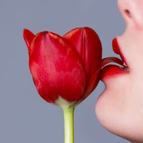 Photographie, Tulip (L), Tyler Shields