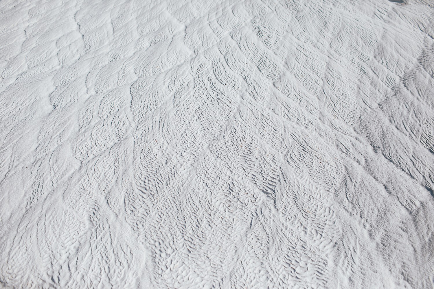 Aurélien Buttin, Blanc Aurélien Buttin, Blanc