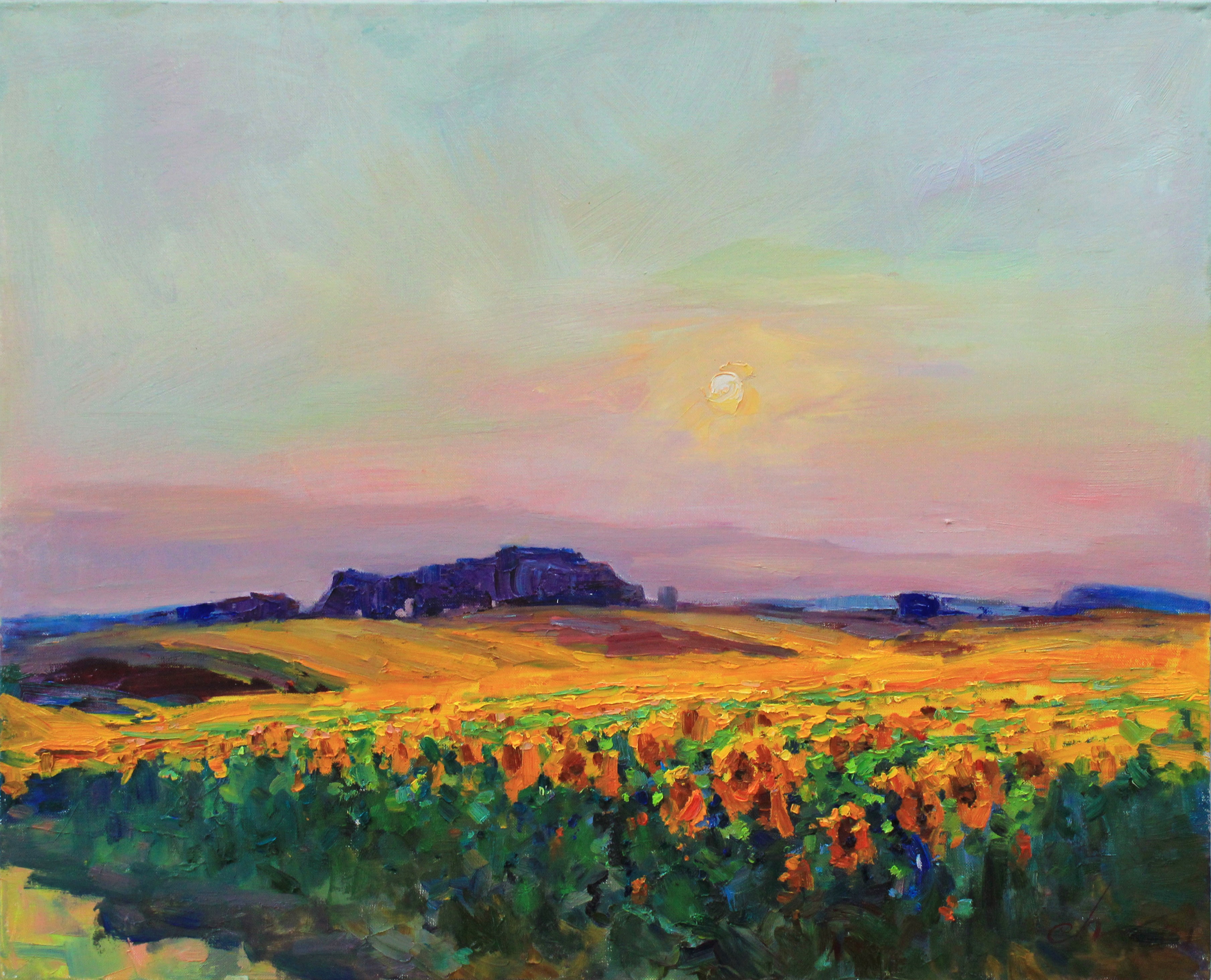 Serhii Cherniakovskyi, Sunflower field Serhii Cherniakovskyi, Sunflower field