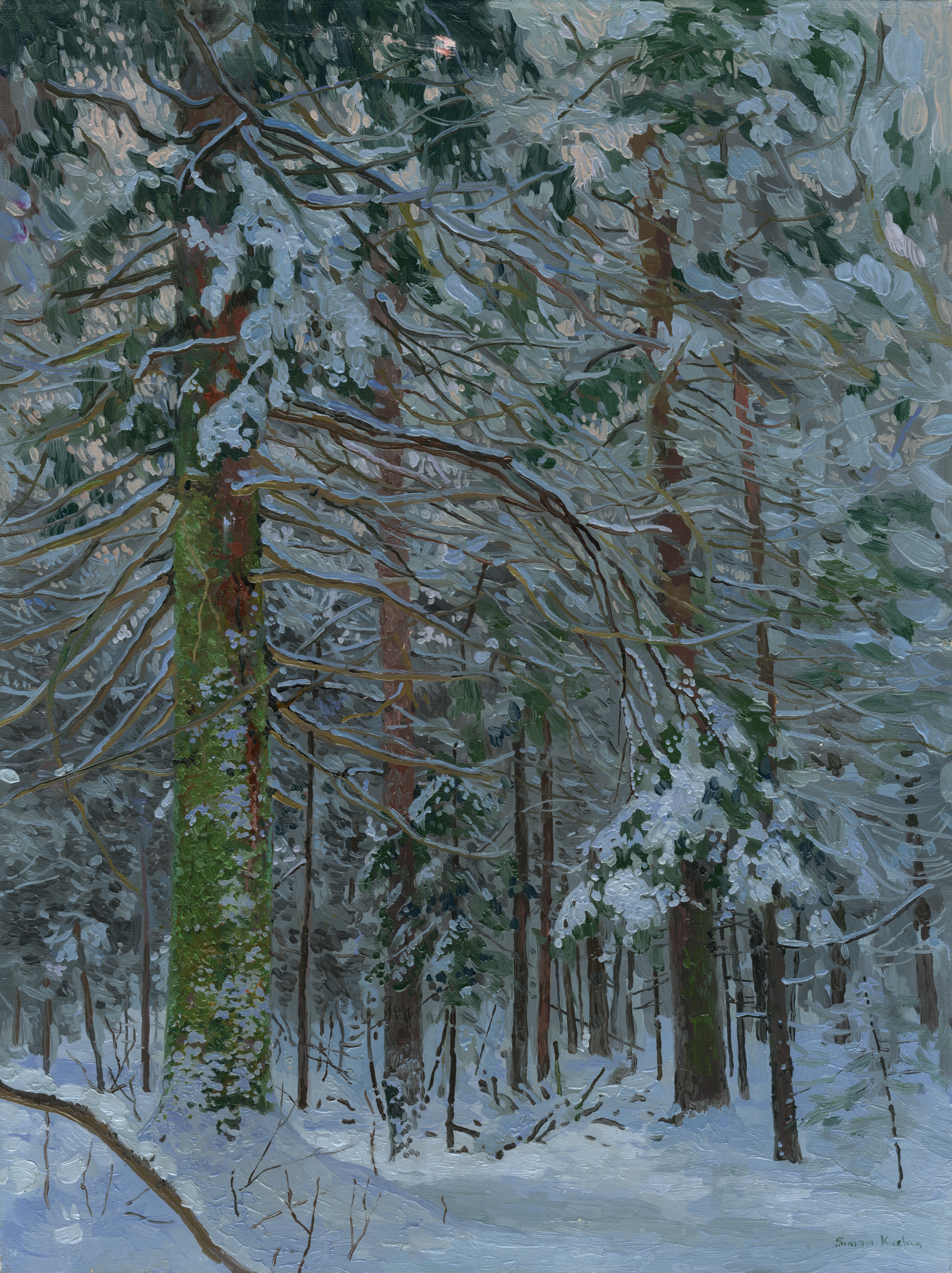 Simon Kozhin, Spruce in the forest Simon Kozhin, Spruce in the forest