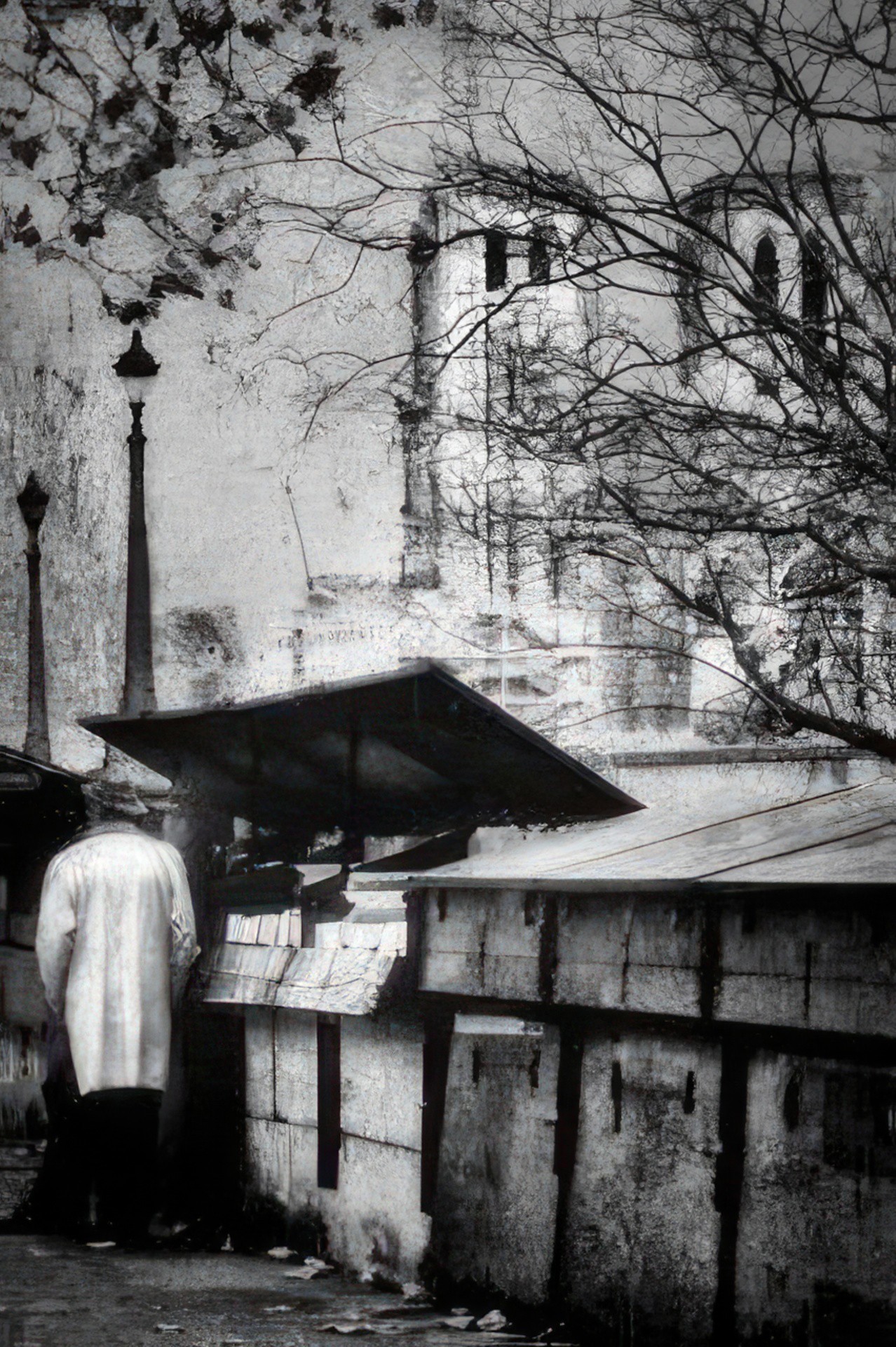 Irène Jonas, Le rêveur, de la série Irène Jonas, Le rêveur, de la série