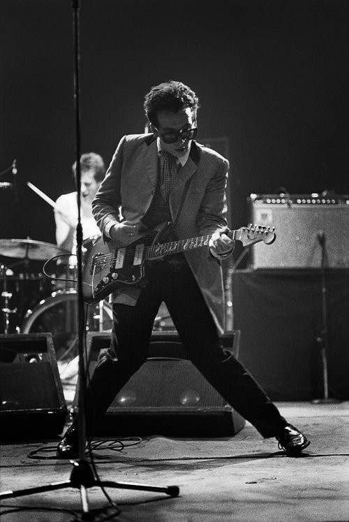 Michael Grecco, Musician Elvis Costello performs live Michael Grecco, Musician Elvis Costello performs live
