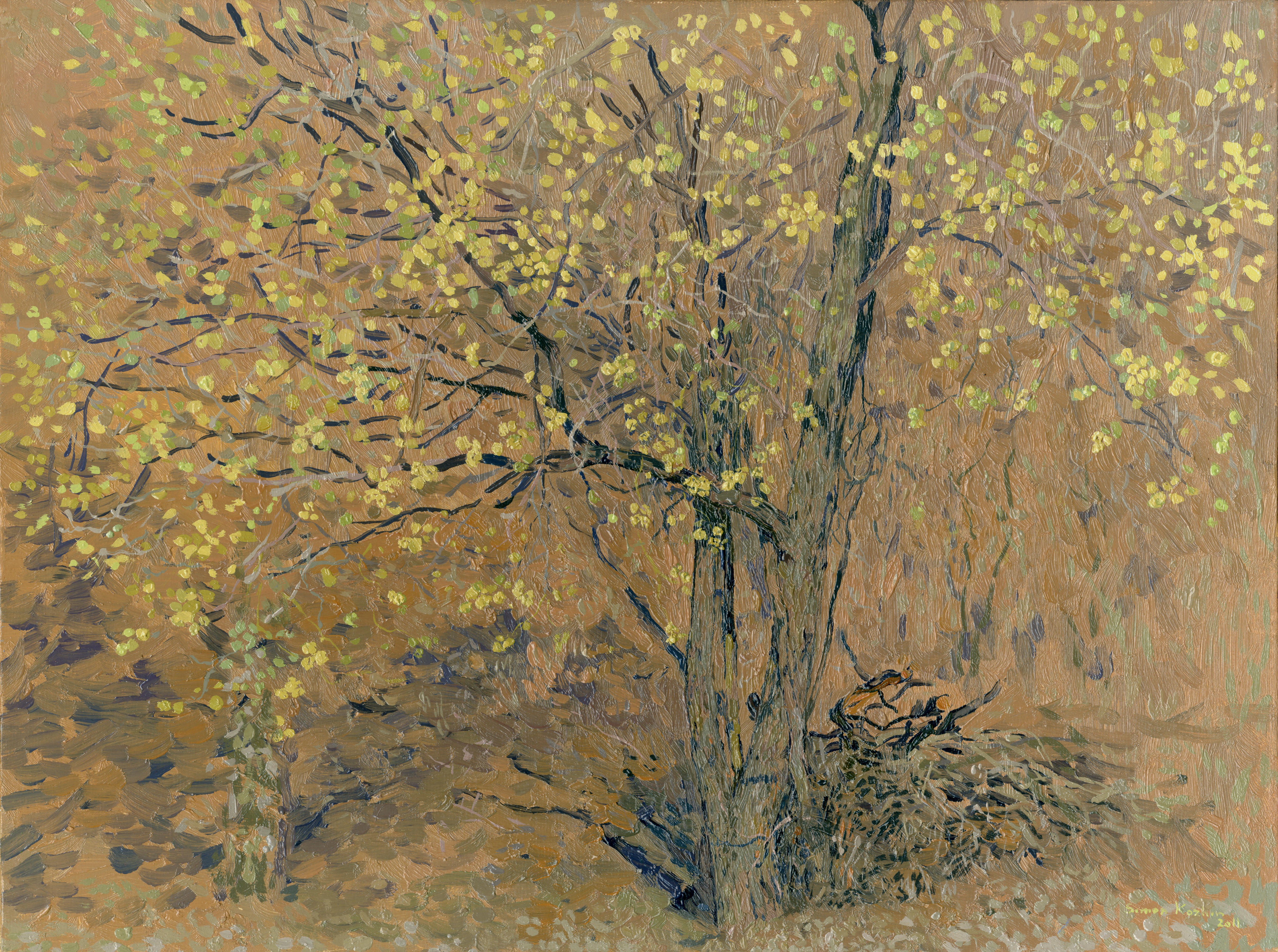 Simon Kozhin, Willow blossoms Simon Kozhin, Willow blossoms