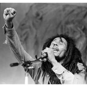 Fotografien, Bob Marley at Berkshire Music Glen, 1978, Michael Grecco