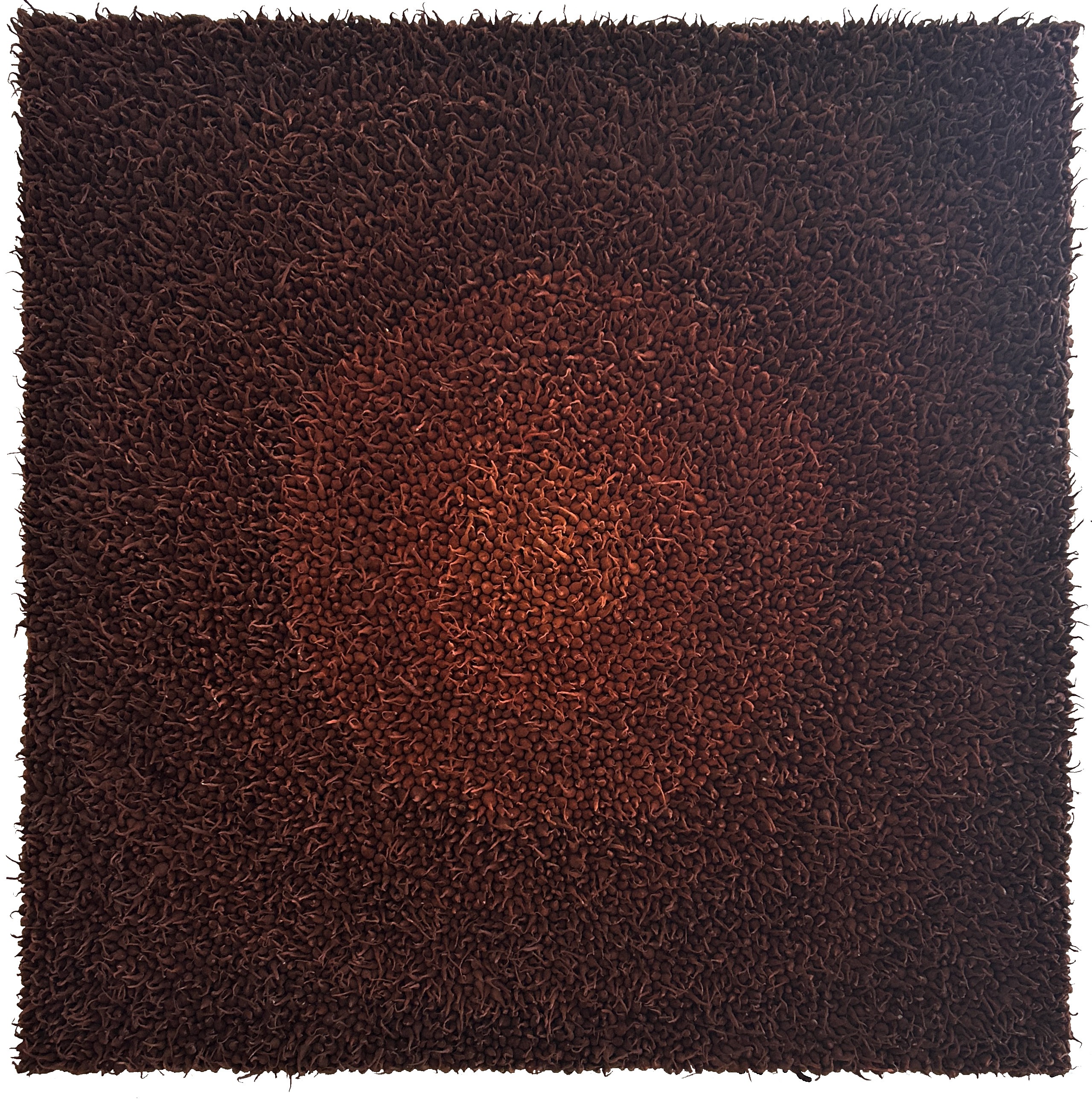 Megha Joshi, Jhaap III. From The Ritual Series Megha Joshi, Jhaap III. From The Ritual Series