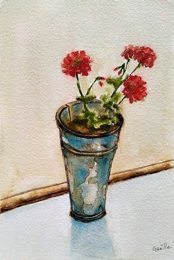 Gaelle Beyaert, Geranium Gaelle Beyaert, Geranium