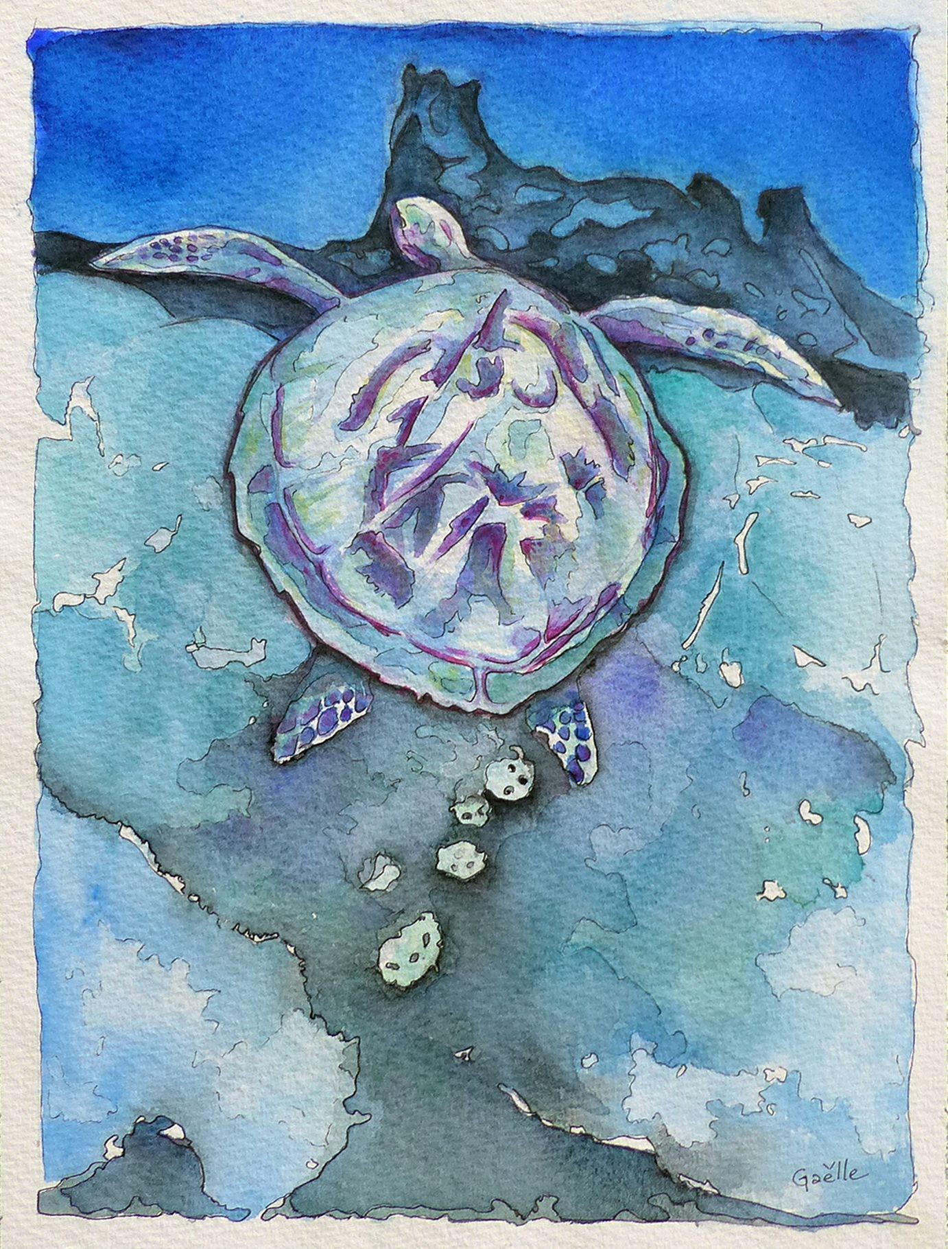 Gaelle Beyaert, La tortue lutte Gaelle Beyaert, La tortue lutte