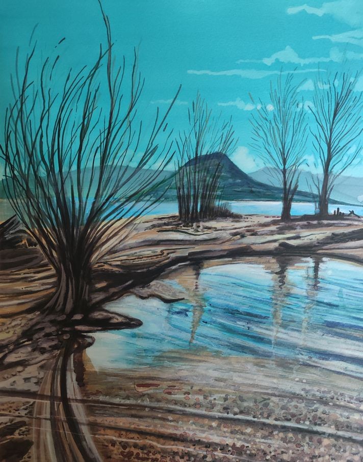 Frédéric Balmefrezol, Reflets du lac Frédéric Balmefrezol, Reflets du lac