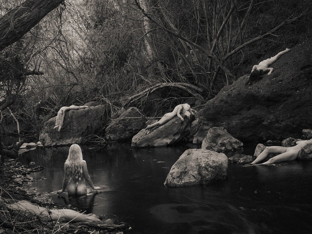 Tyler Shields, A Frog Atop Water (S) Tyler Shields, A Frog Atop Water (S)
