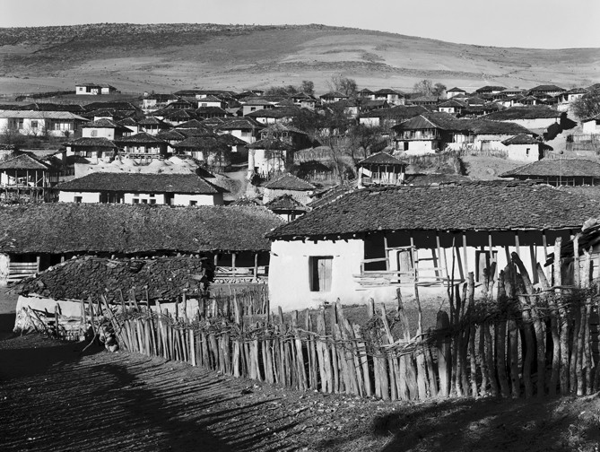 Simeon Posen, Koudjour - 763601 Simeon Posen, Koudjour - 763601