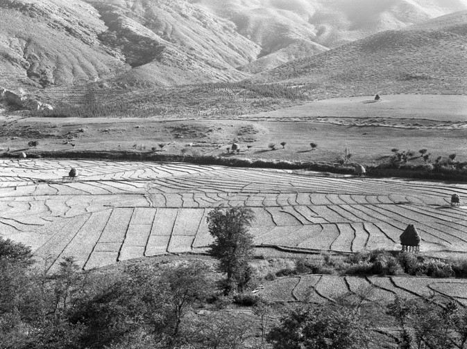 Simeon Posen, Karaj Chalus Highway - 763202 Simeon Posen, Karaj Chalus Highway - 763202