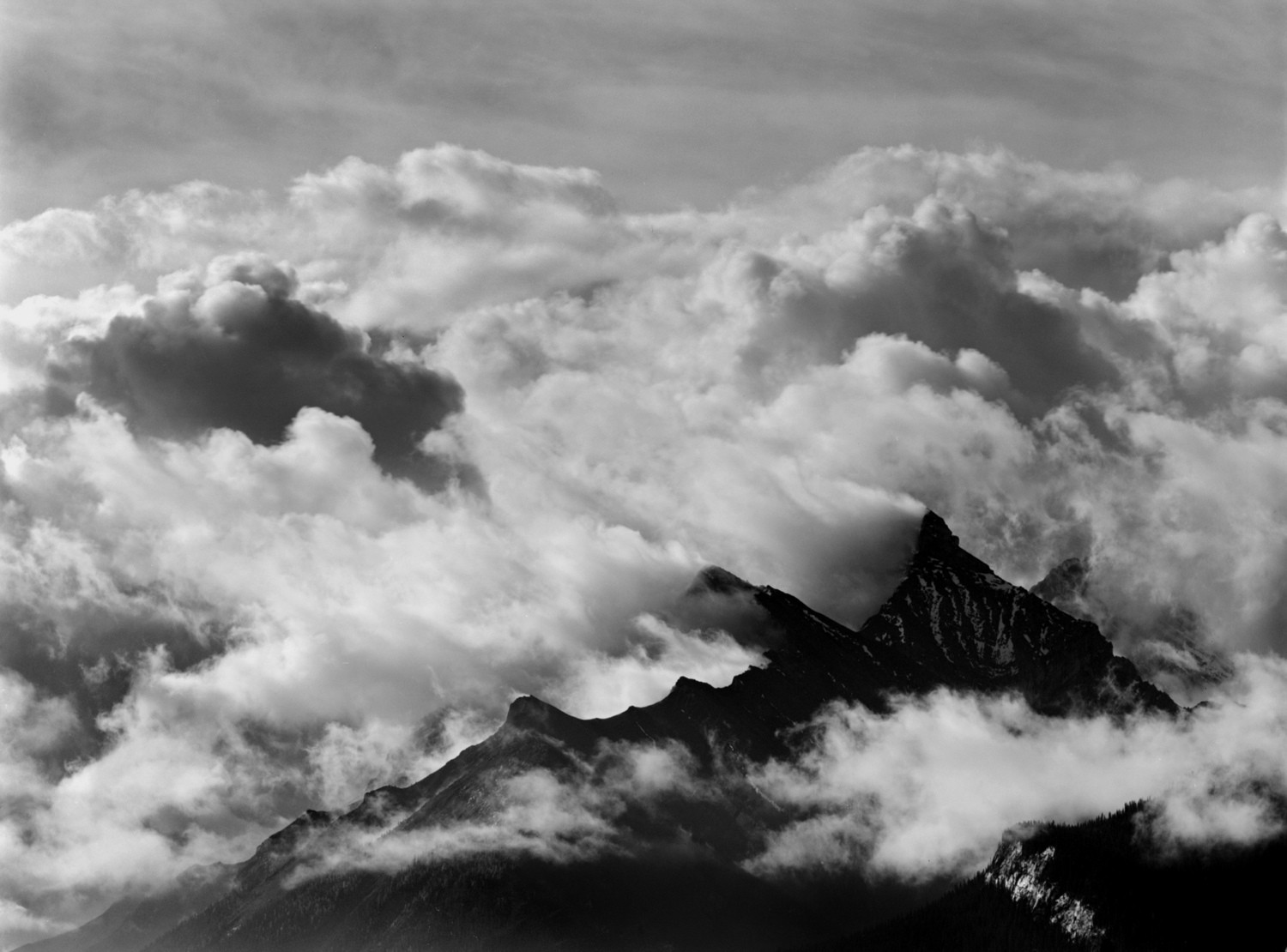 Simeon Posen, Alberta 152001 Simeon Posen, Alberta 152001