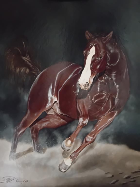 Farid Saâdi, Mustang Farid Saâdi, Mustang