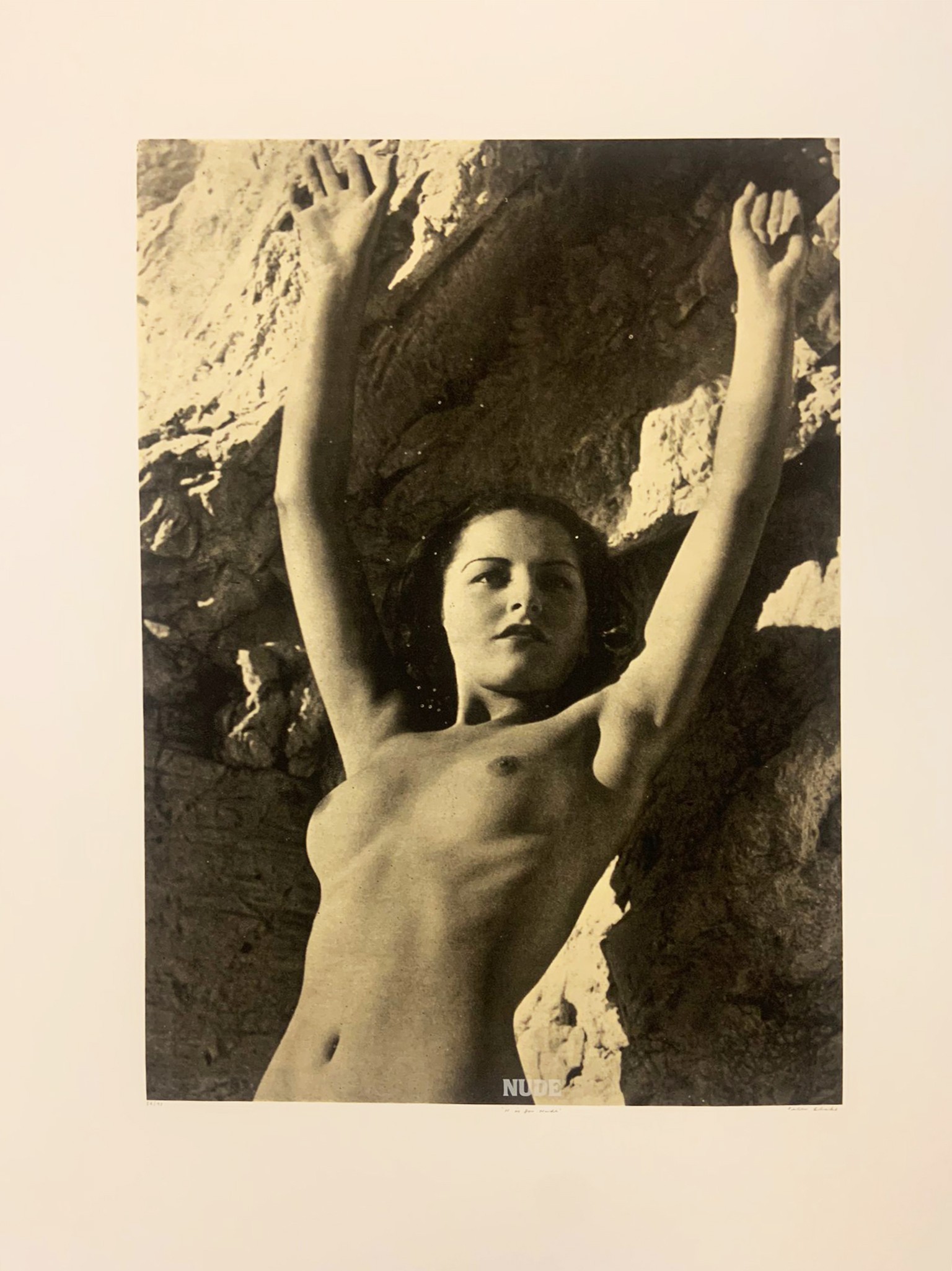 Peter Blake, N is for Nude Peter Blake, N is for Nude