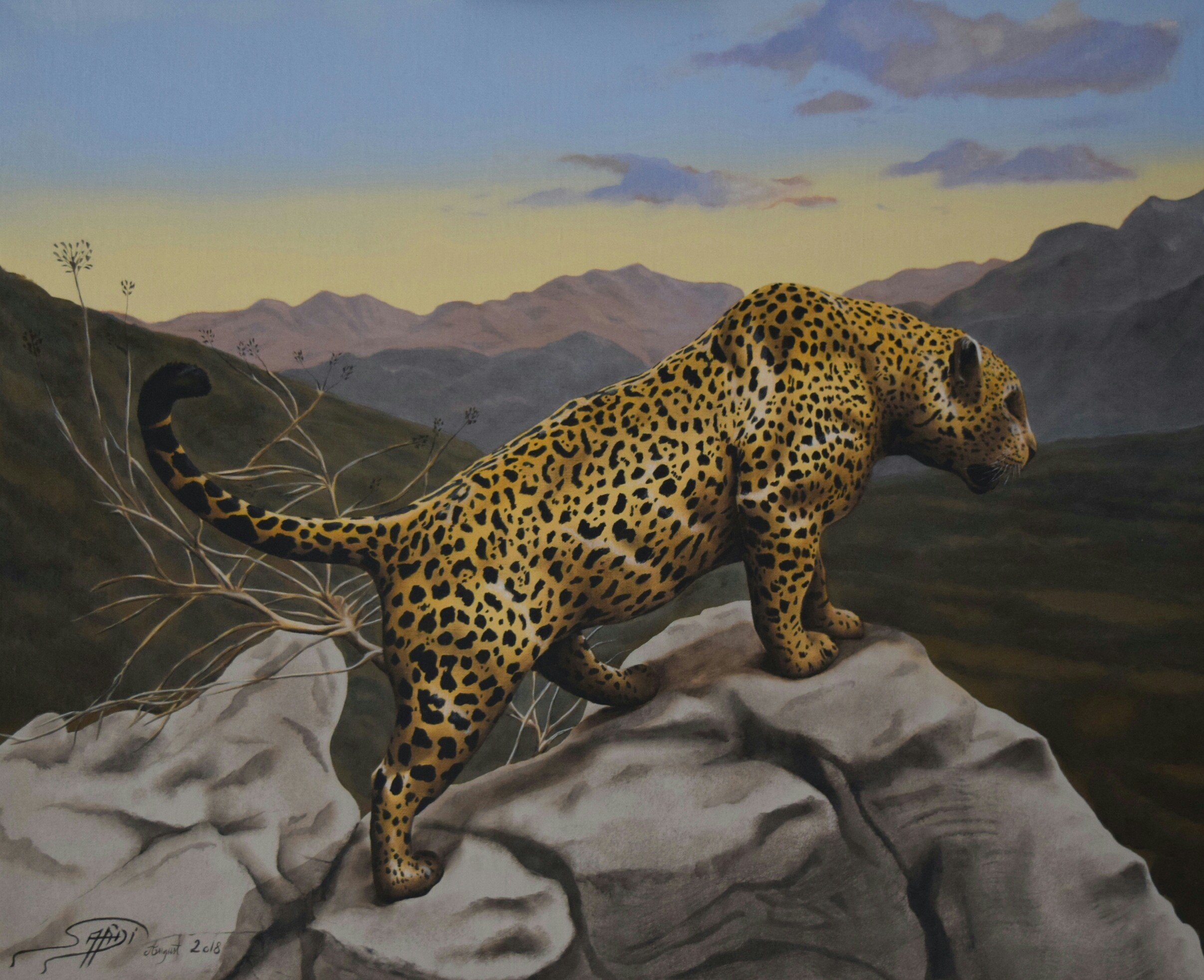 Farid Saâdi, Jaguar Farid Saâdi, Jaguar