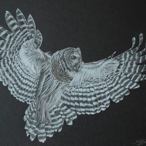 Zeichnungen, Howl, Farid Saâdi