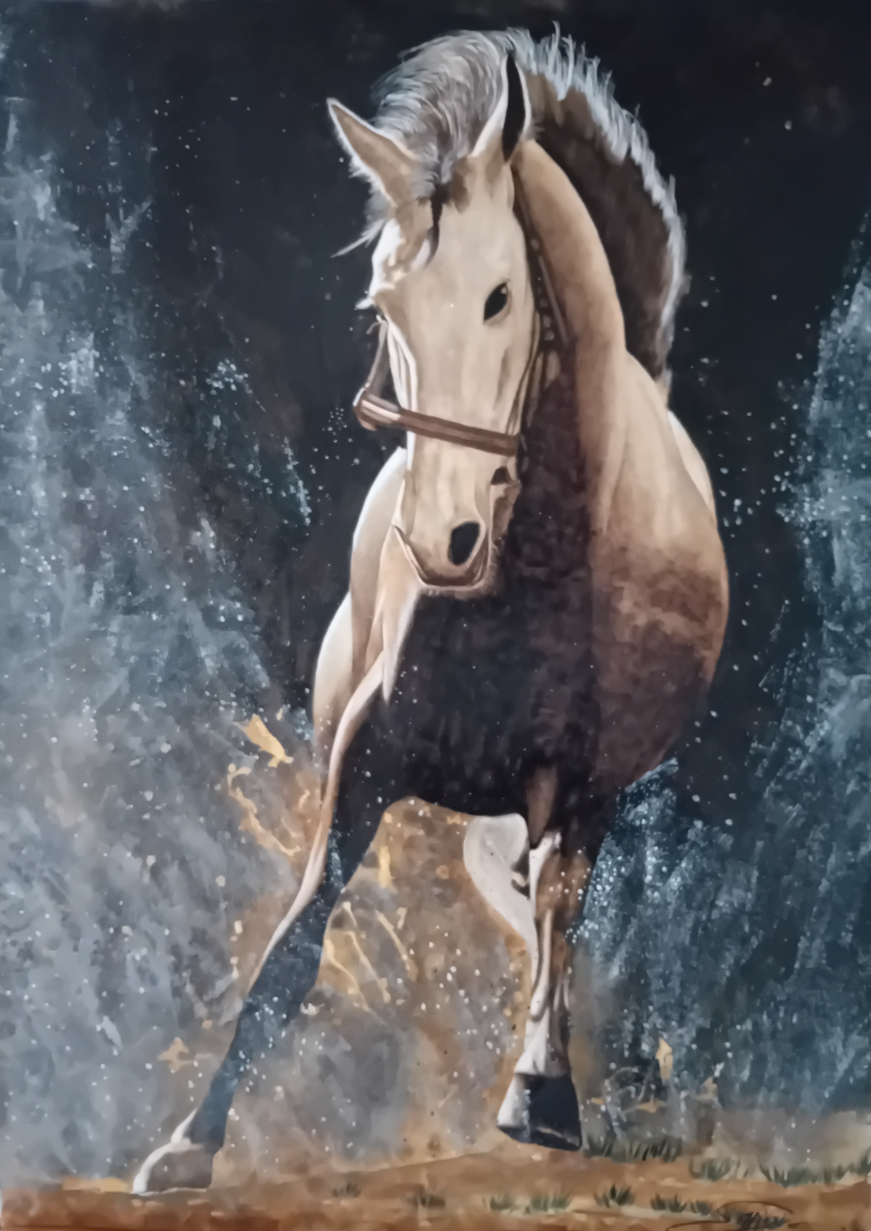Farid Saâdi, Wild Horse Farid Saâdi, Wild Horse